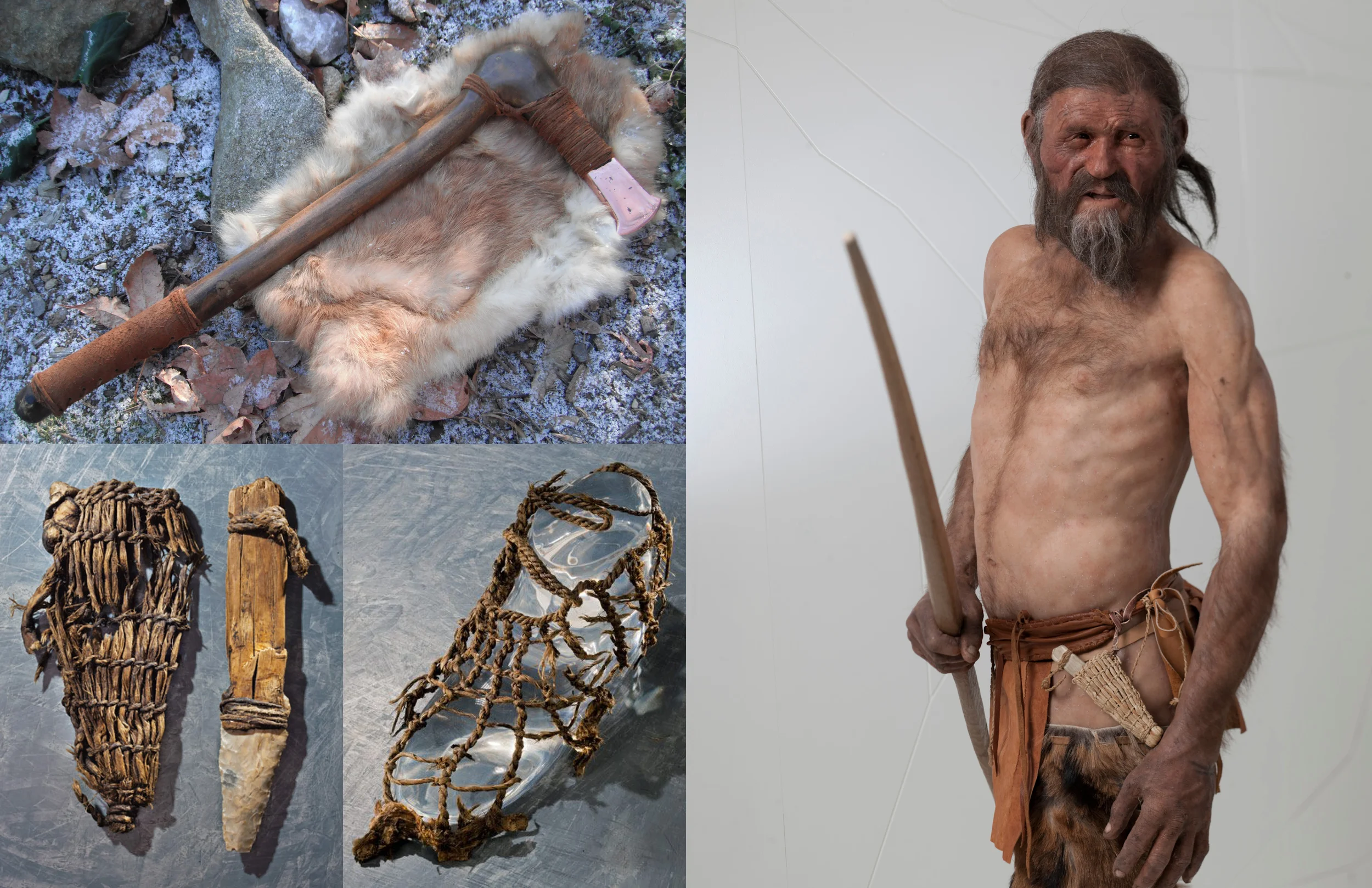 Otzi Process - 3.jpg