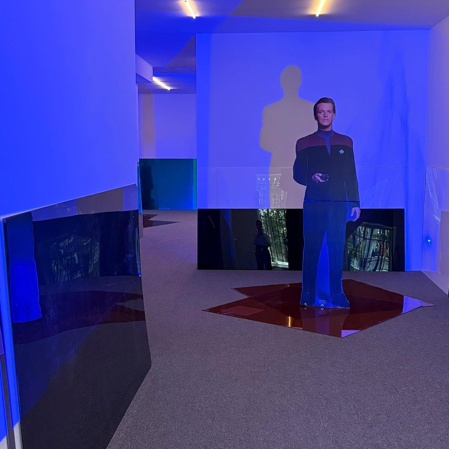 &ldquo;Into the Dimensional Corridor&rdquo; is the tenth show of Lutz Bacher&rsquo;s at Galerie Buchholz and is comprised of a single work, an installation first exhibited at the Statens Museum for Kunst in Copenhagen &mdash; the title a reference to