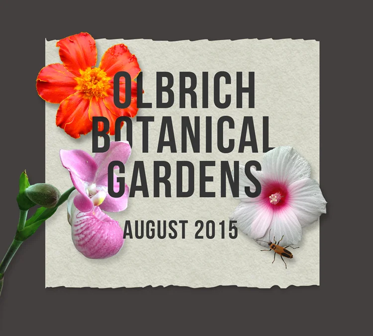 Olbrich Gardens