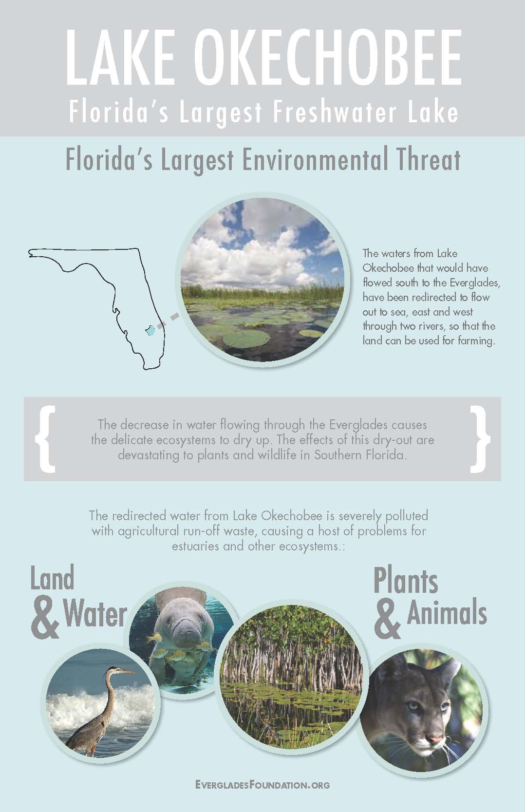 Lake_InfoGraphic.jpg