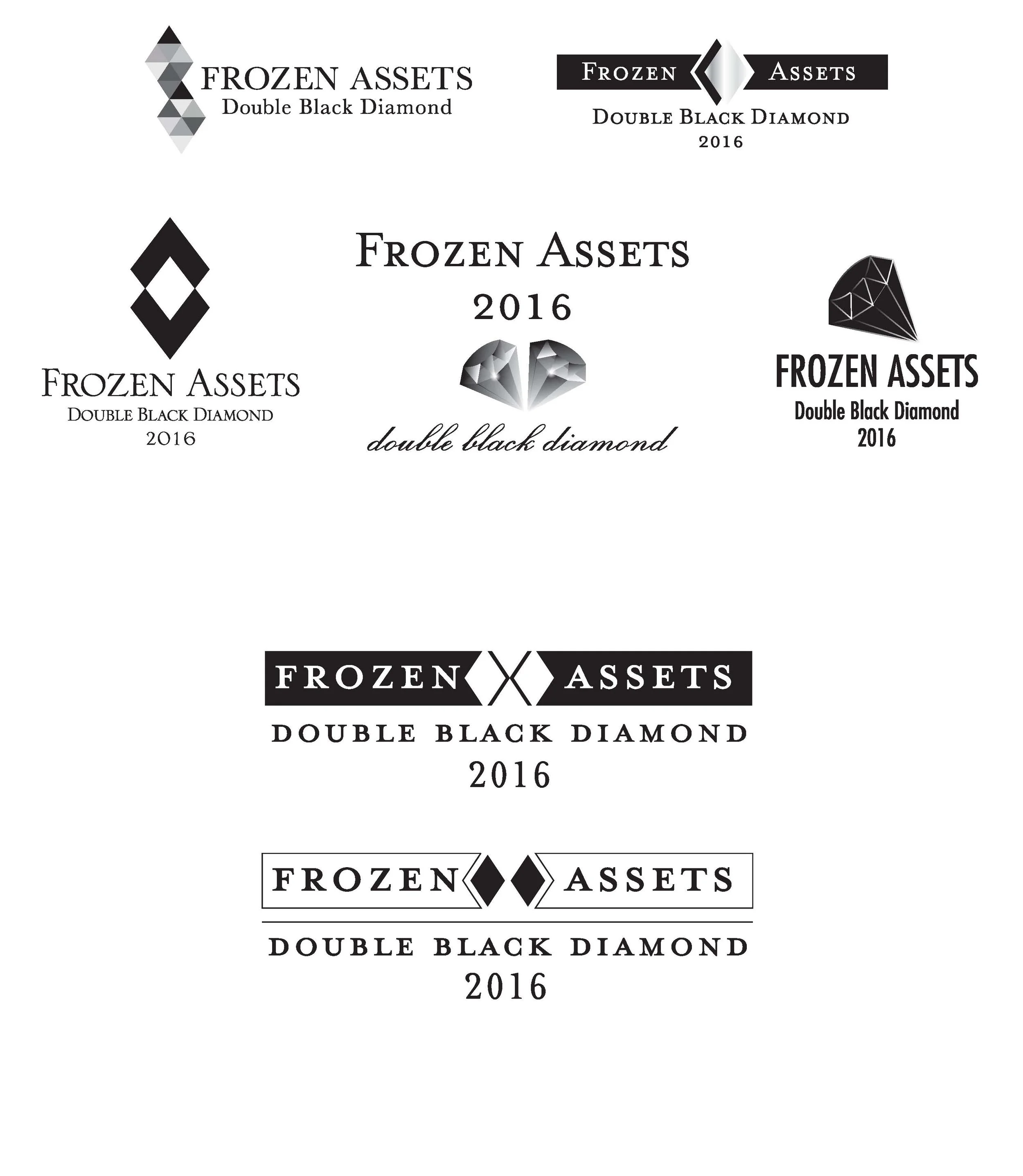 Frozen_Assets_2016_LK.jpg