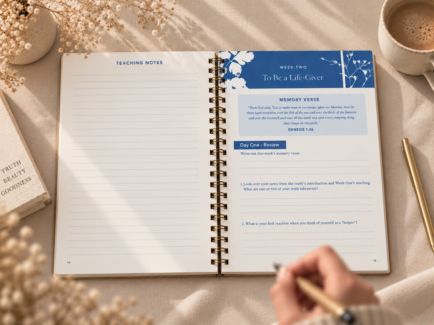 Created to Image_Women's Bible Study_Inside Content Spread.png