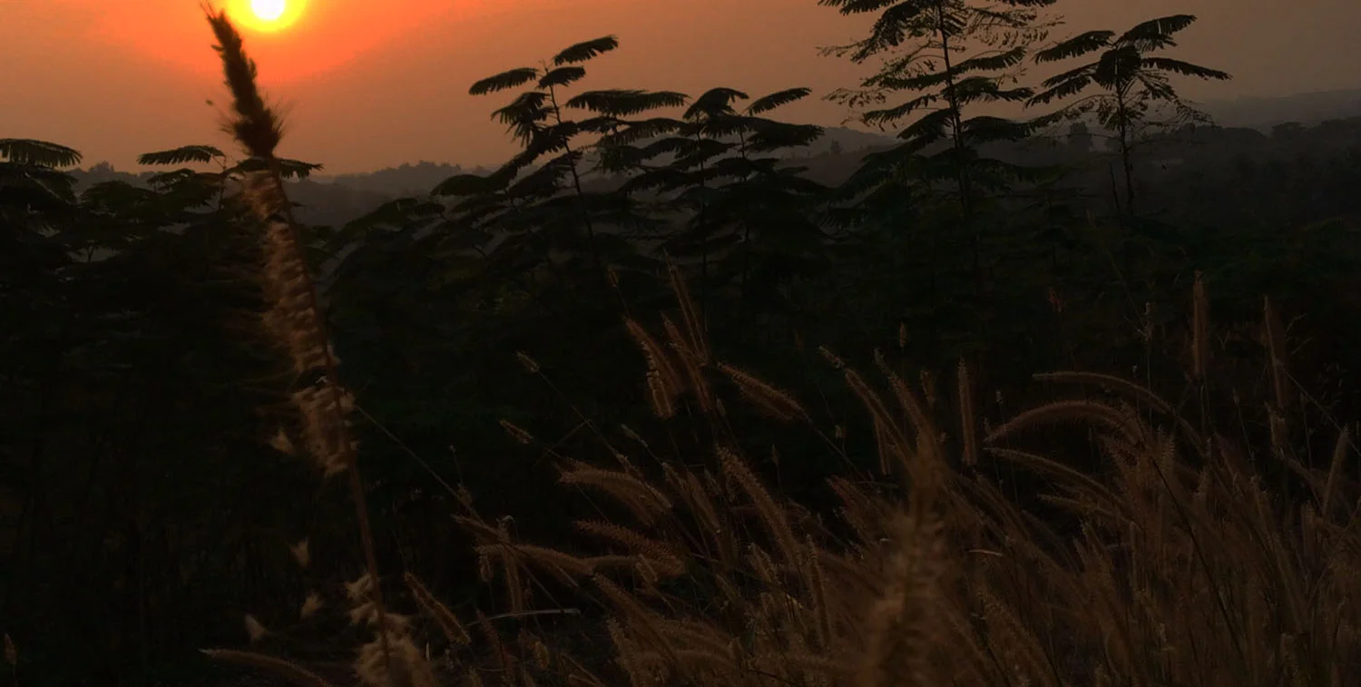 header_7.jpg