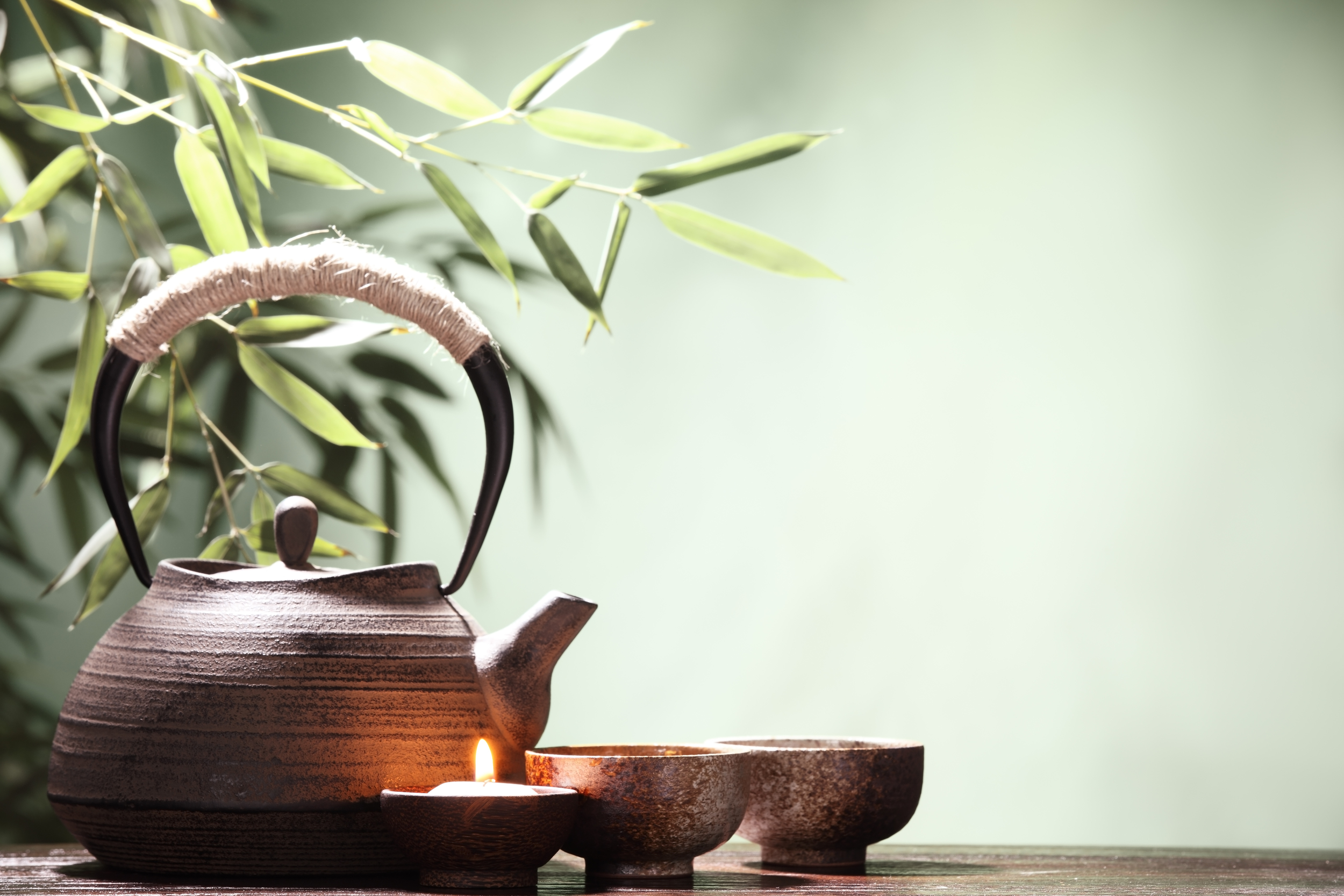 Exploring Traditional Chinese Medicine Diverse Therapies for Modern