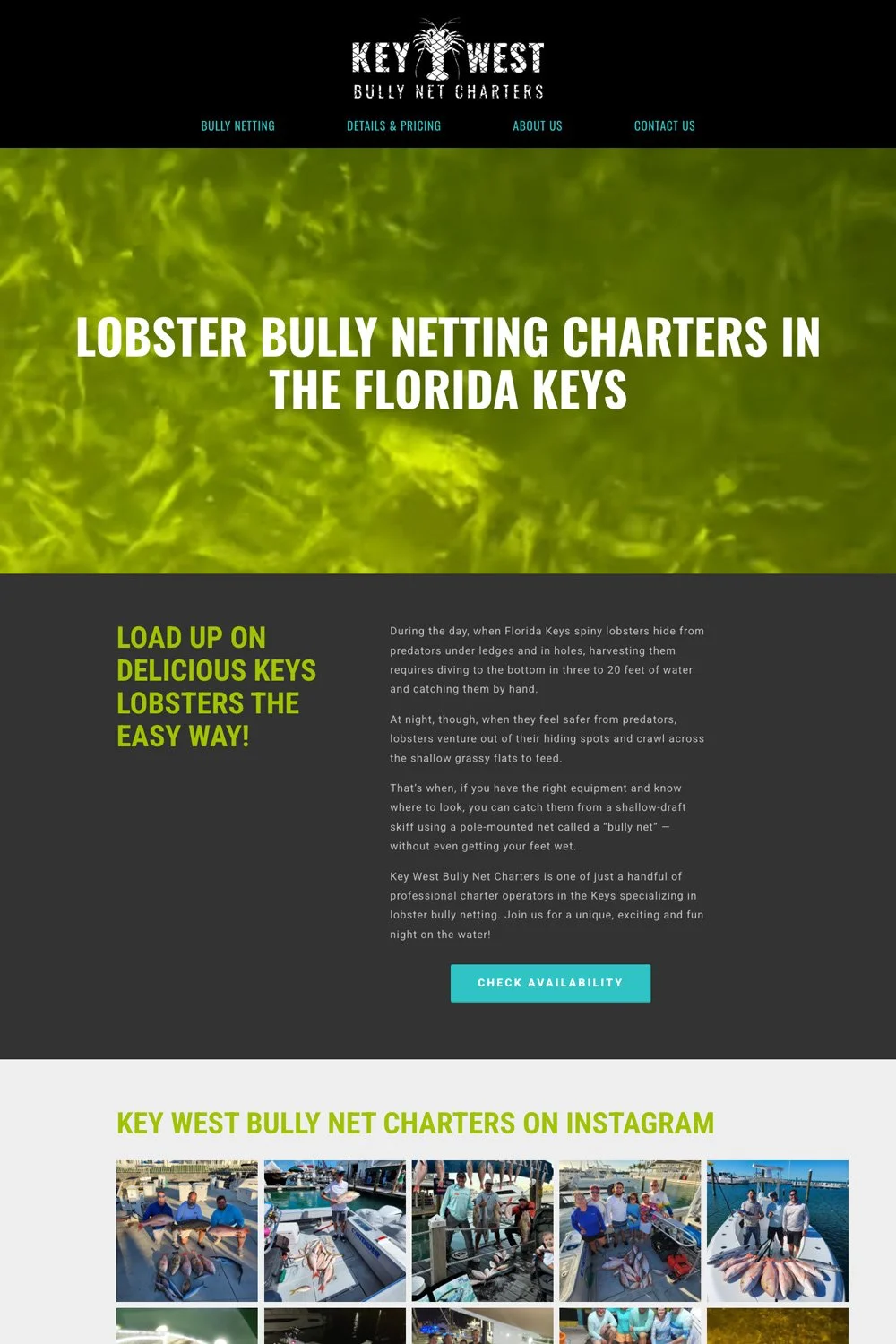 https://www.keywestbullynetcharters.com/