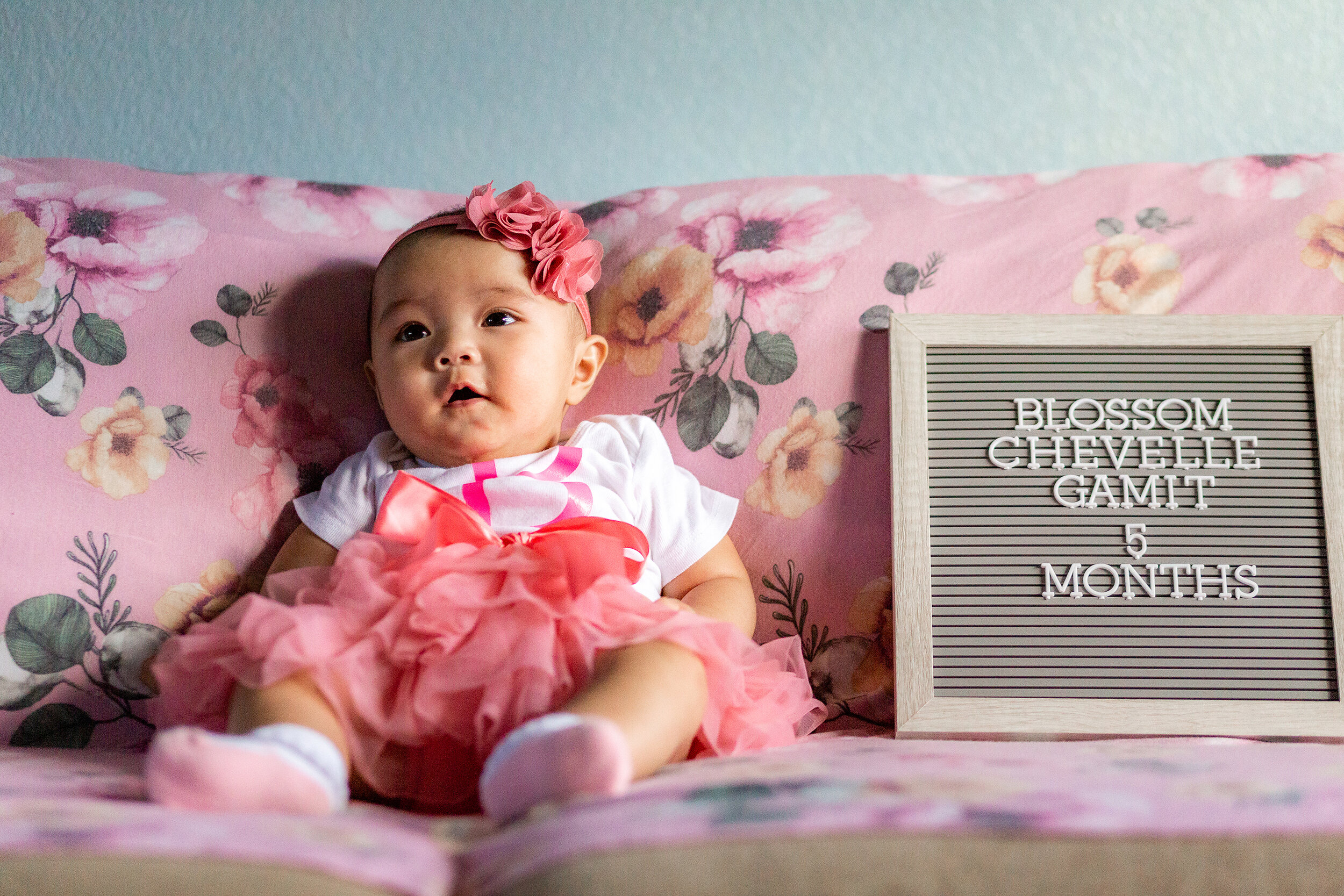 blossom5months-1.jpg