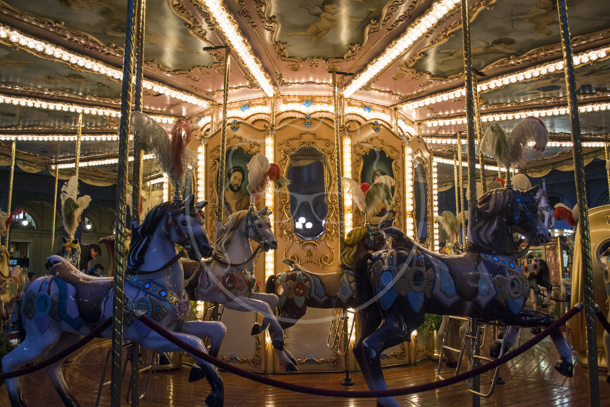 Midnight Carousel | Florence, Italy | 2015