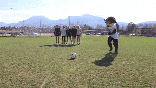 kick.gif