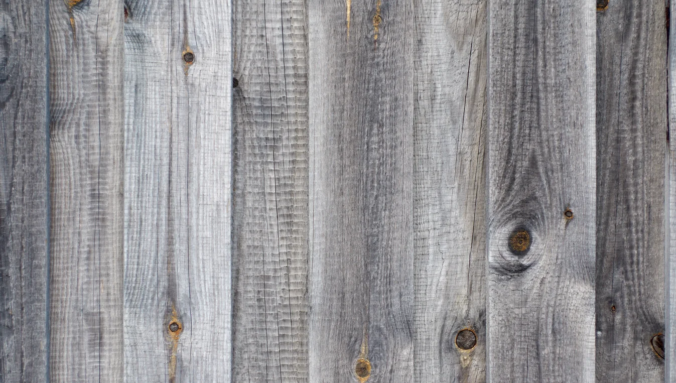 gray wood background 2.jpg