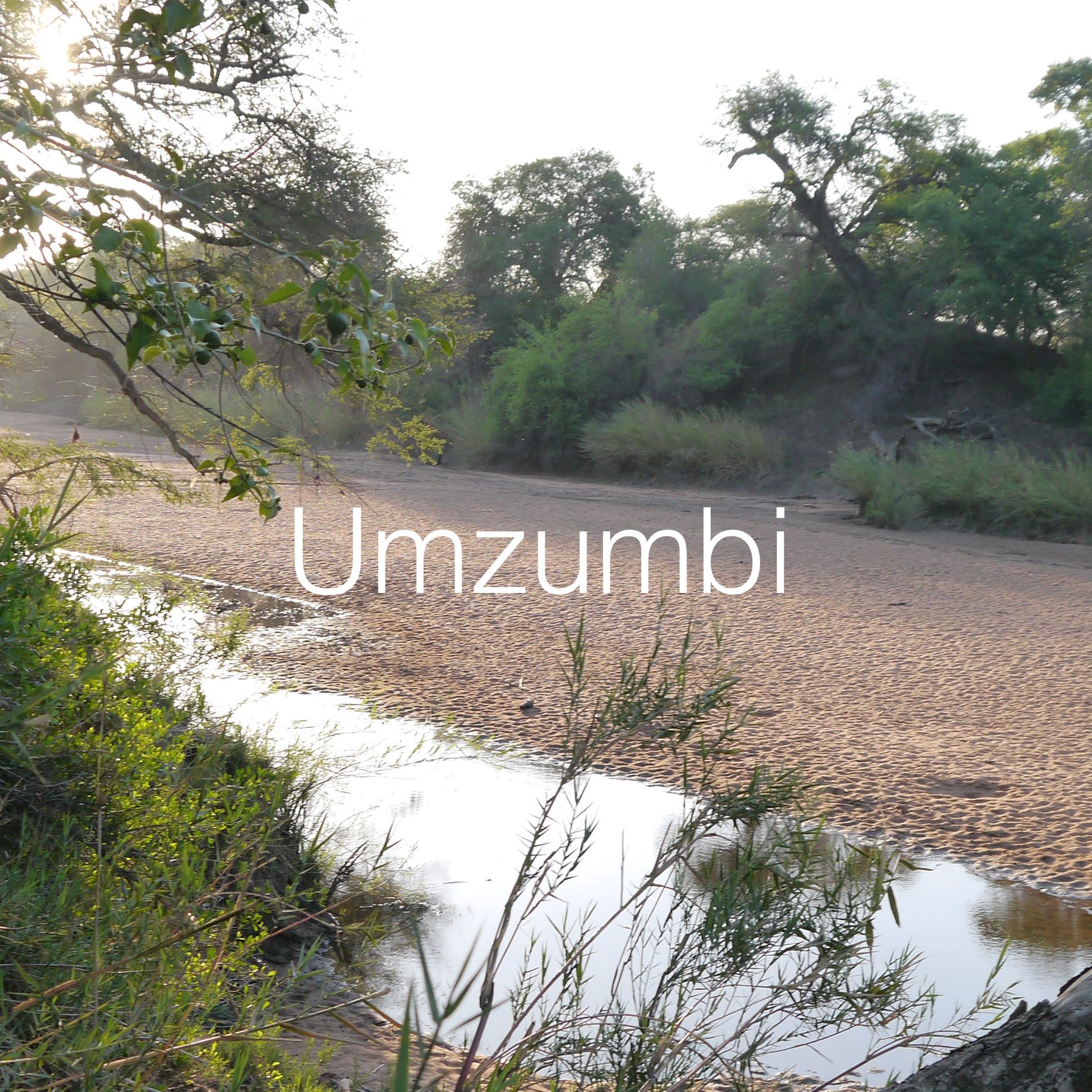 Umzumbi - square.jpeg