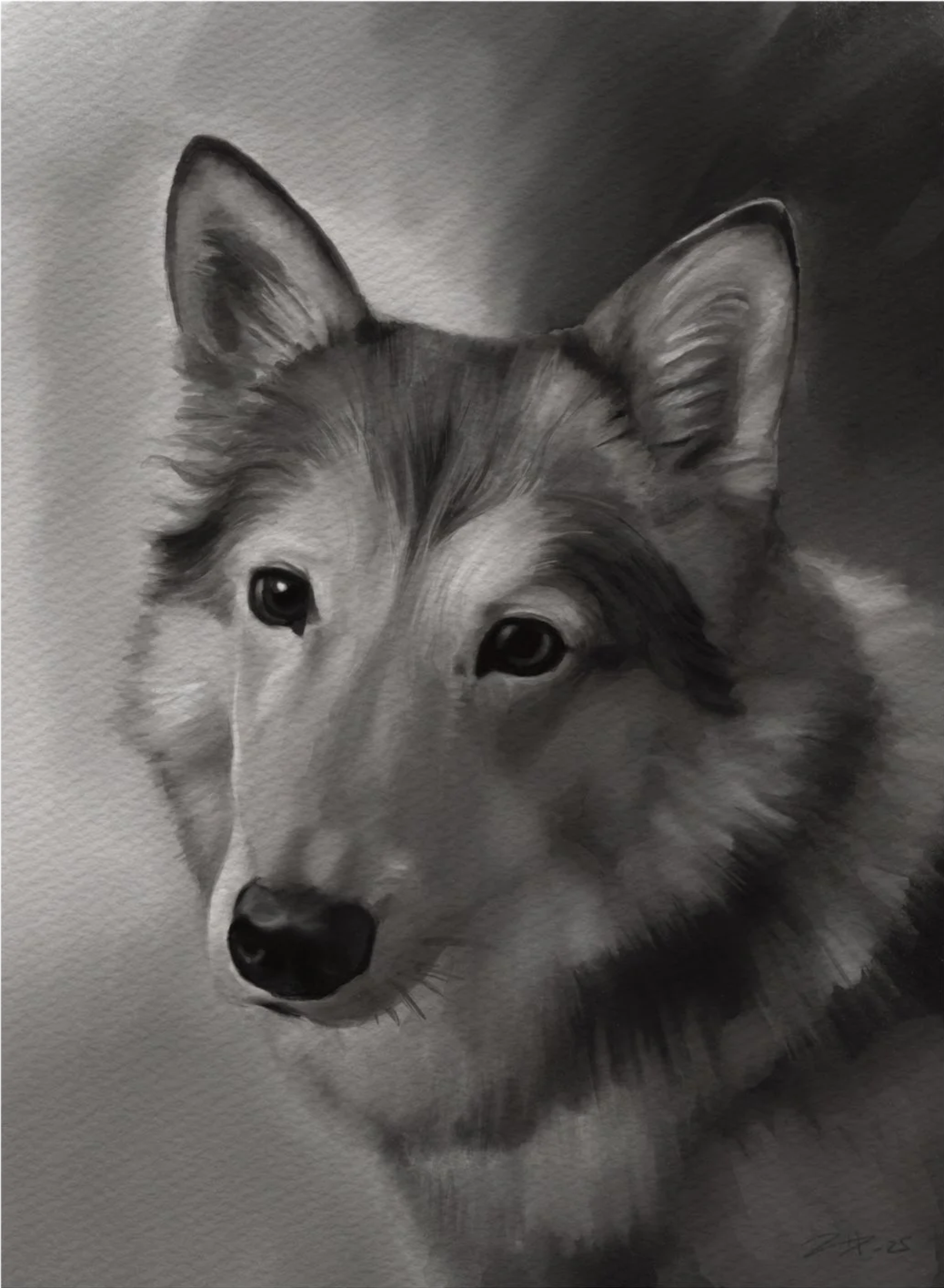 Finley - Digital Portrait