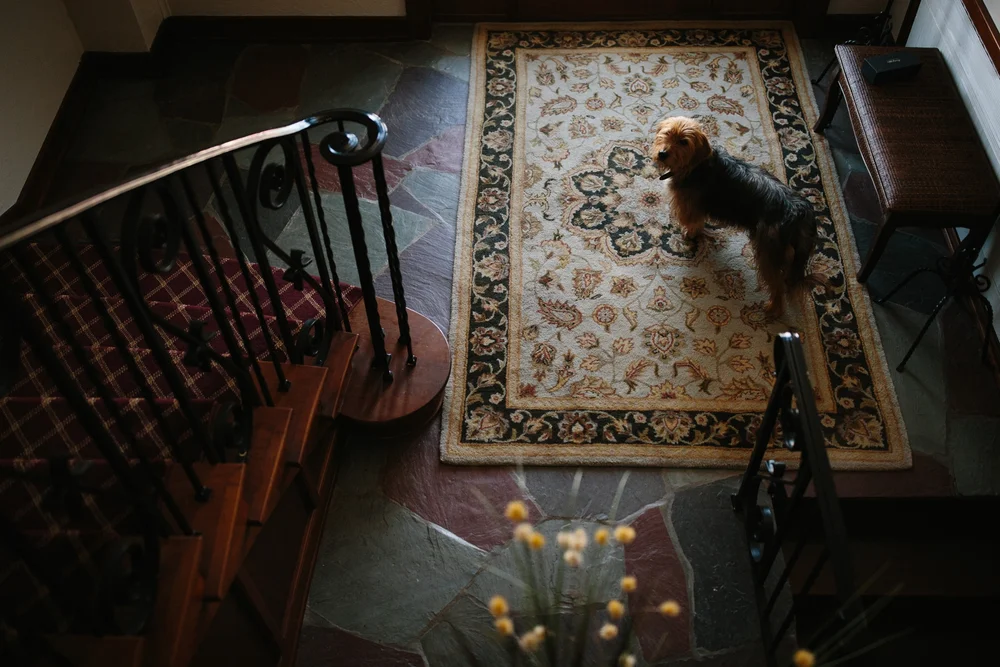 Jordan Claudia Blog 015.JPG