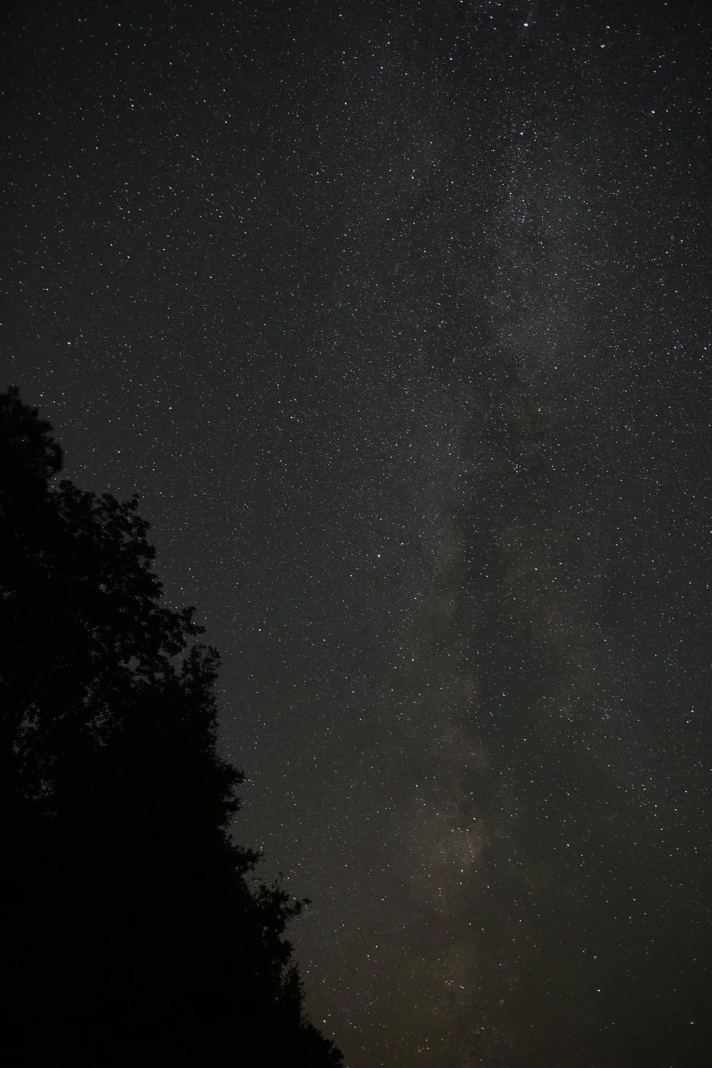 2018 Year in Review 138.JPG