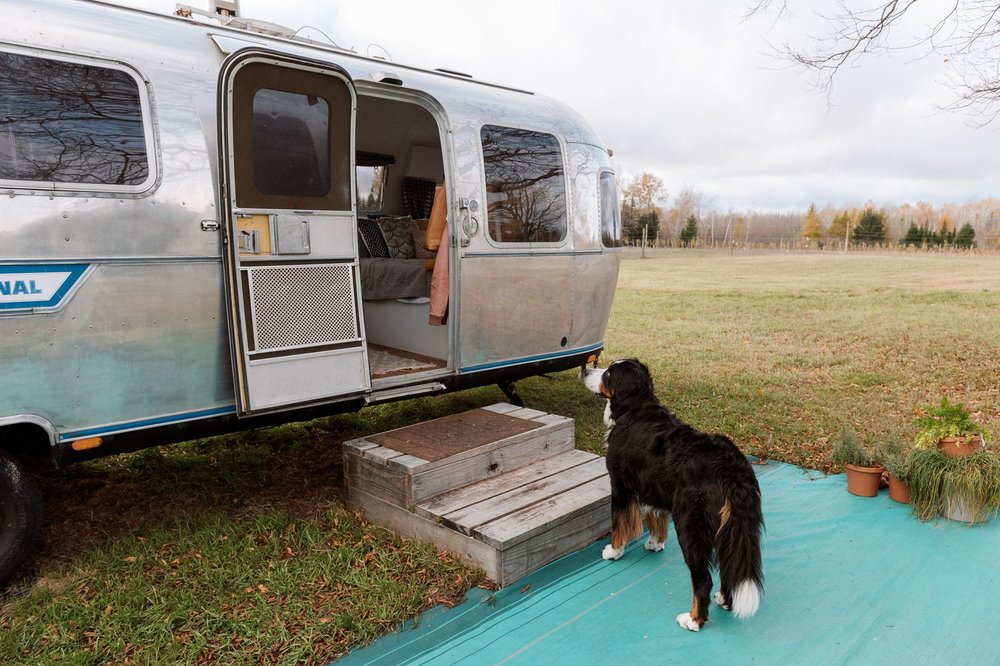 kate_and_adam 054.JPG