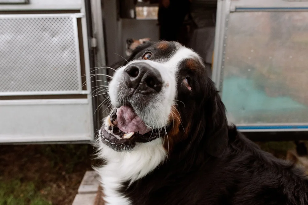 kate_and_adam 102.JPG