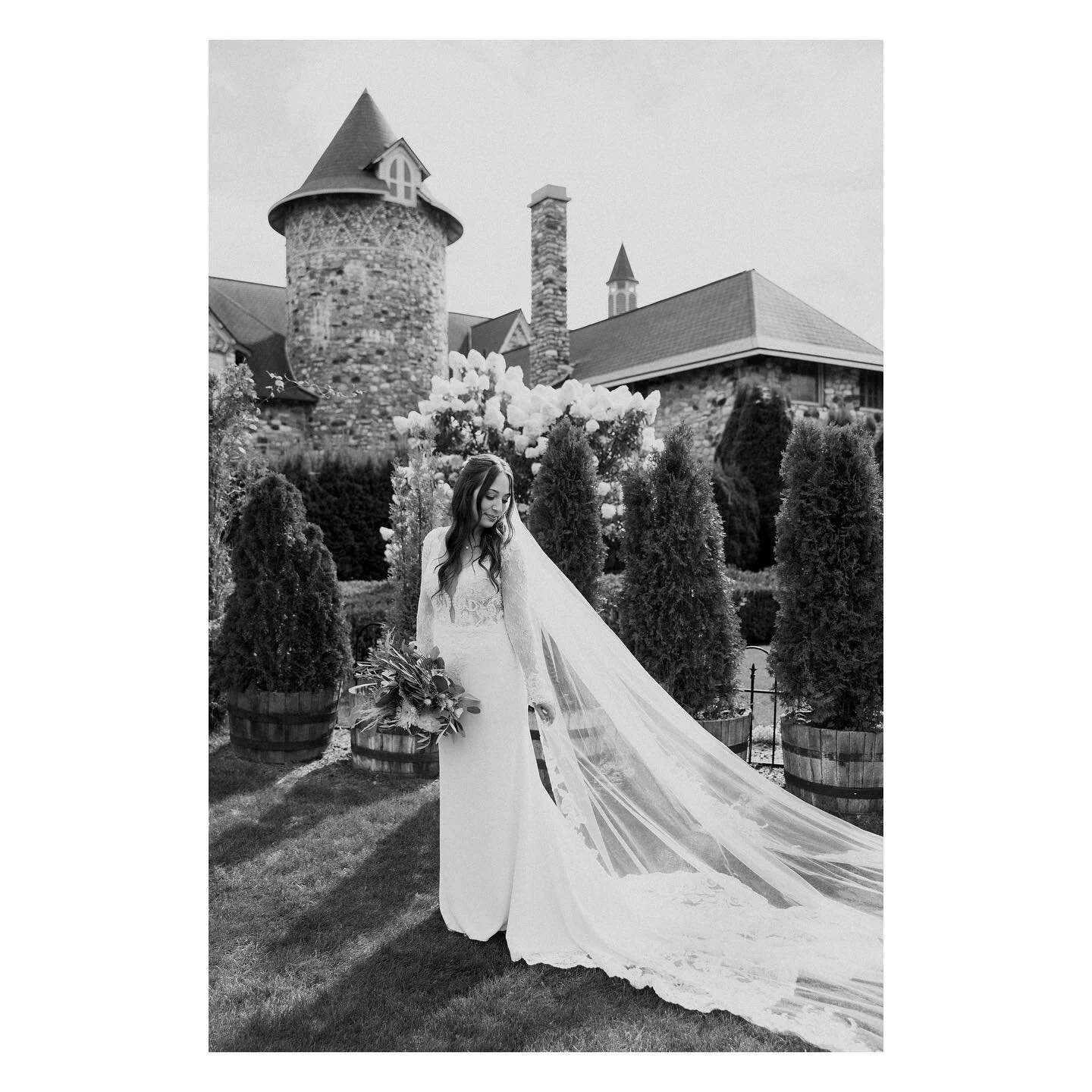 David &amp; Victoria 8.20.2022

@monarchgfd 
@castlefarms 
@ruschentertainment 
@eventtheorymi 
@vernales1091 
@salon_804