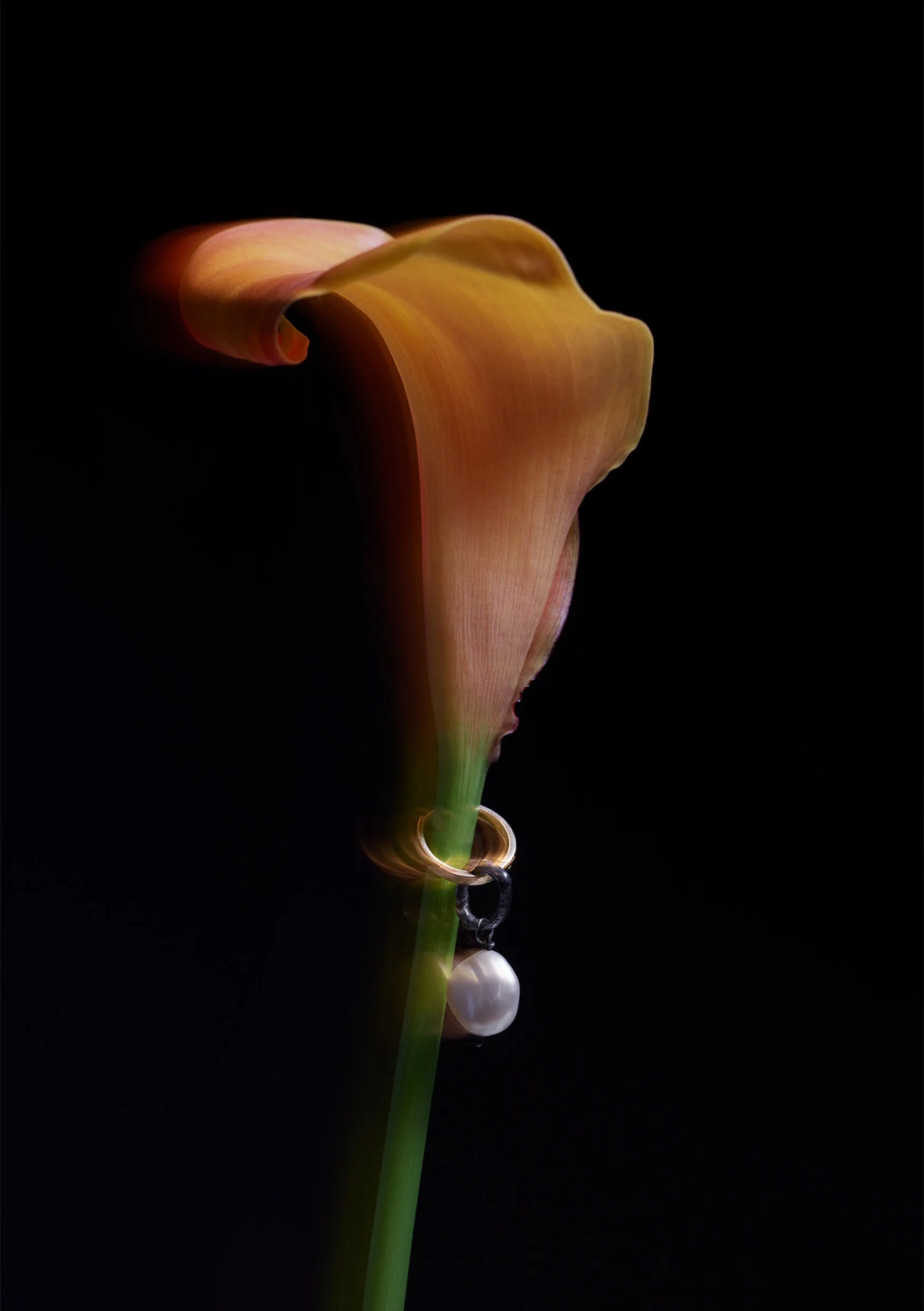 pearlerring3.jpg