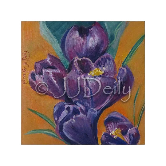 Crocus
