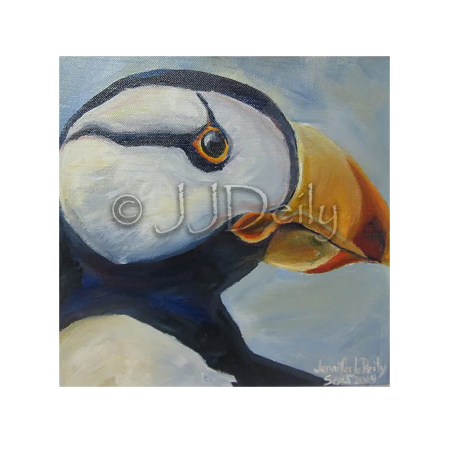 Puffin Portrait 