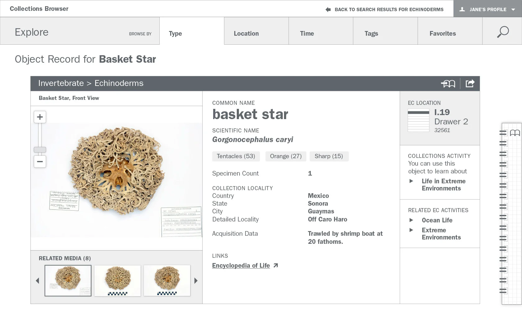 Detailed wireframe: Object record