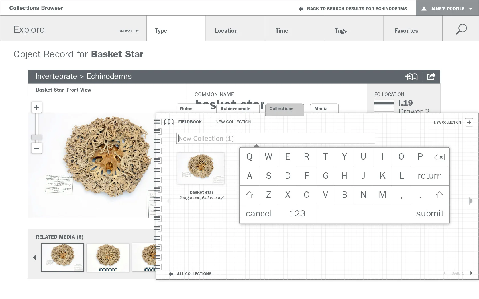 Detailed wireframe: Adding an object to the Fieldbook