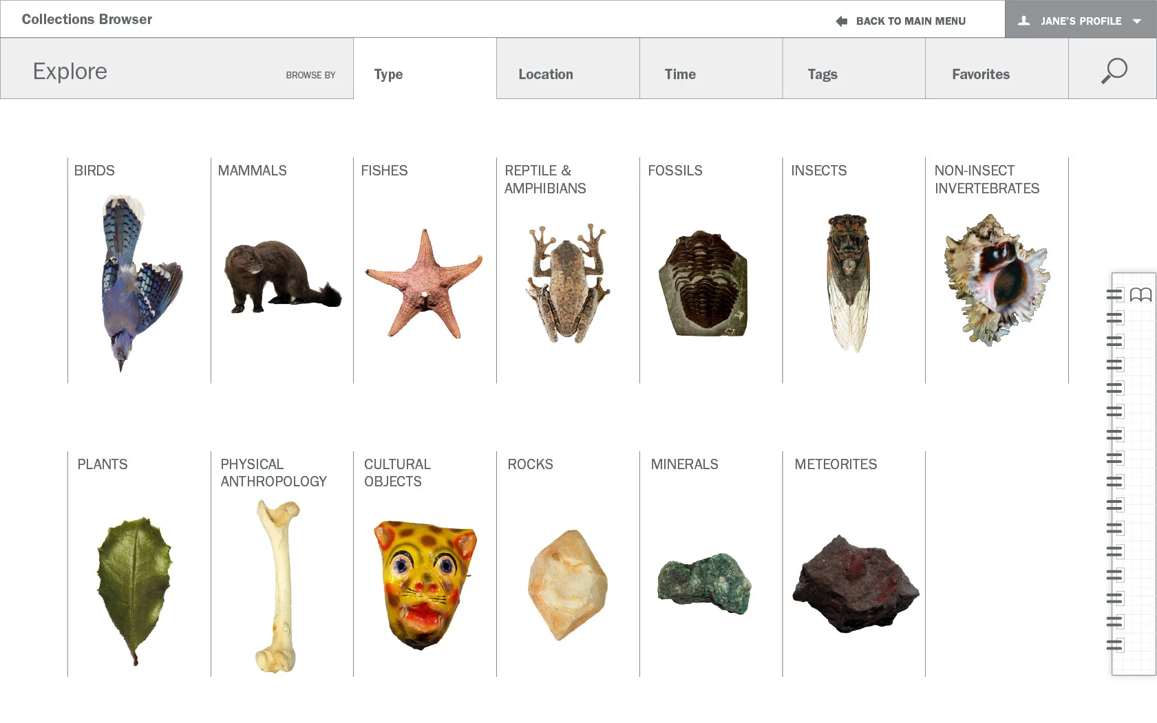 Detailed wireframe: Collections Browser