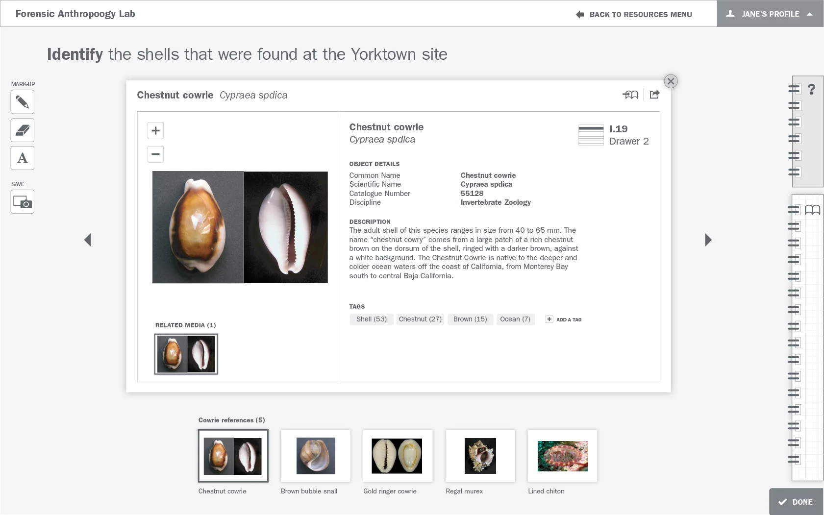 Detailed wireframe: Activity step