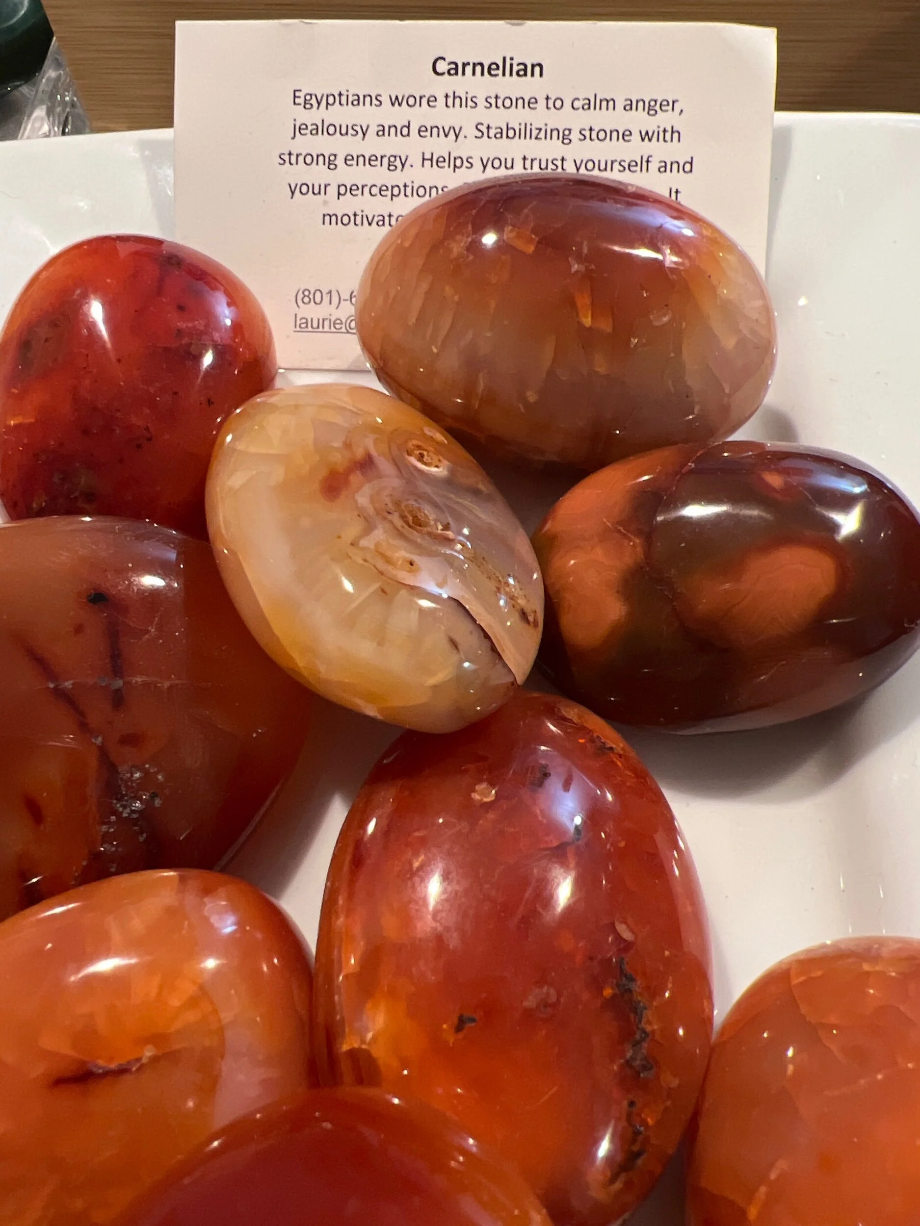 5F305682-3B2A-41FC-A0D1-BBF60A372563