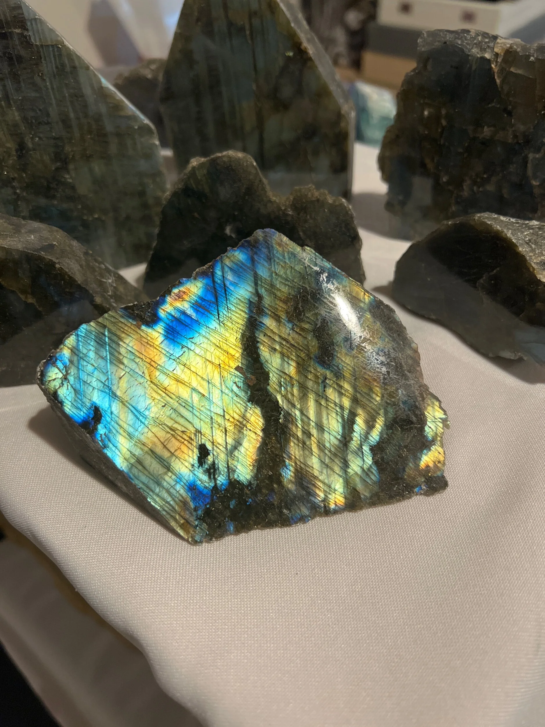 23A5DE84-5907-467C-A783-7BE827139026