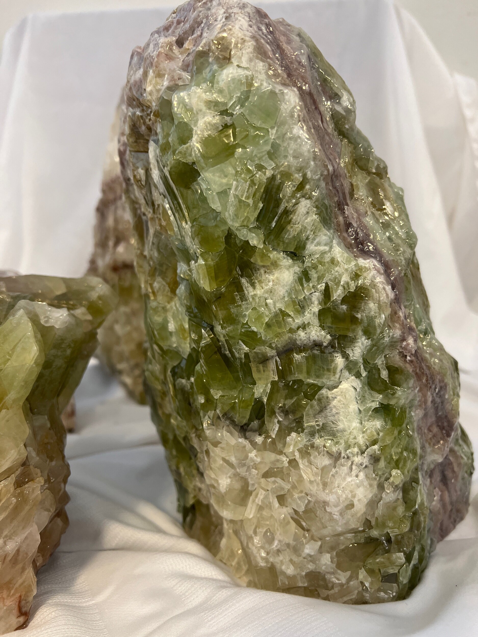 019F658D-1A46-4525-8FB1-B944ACB22EC9