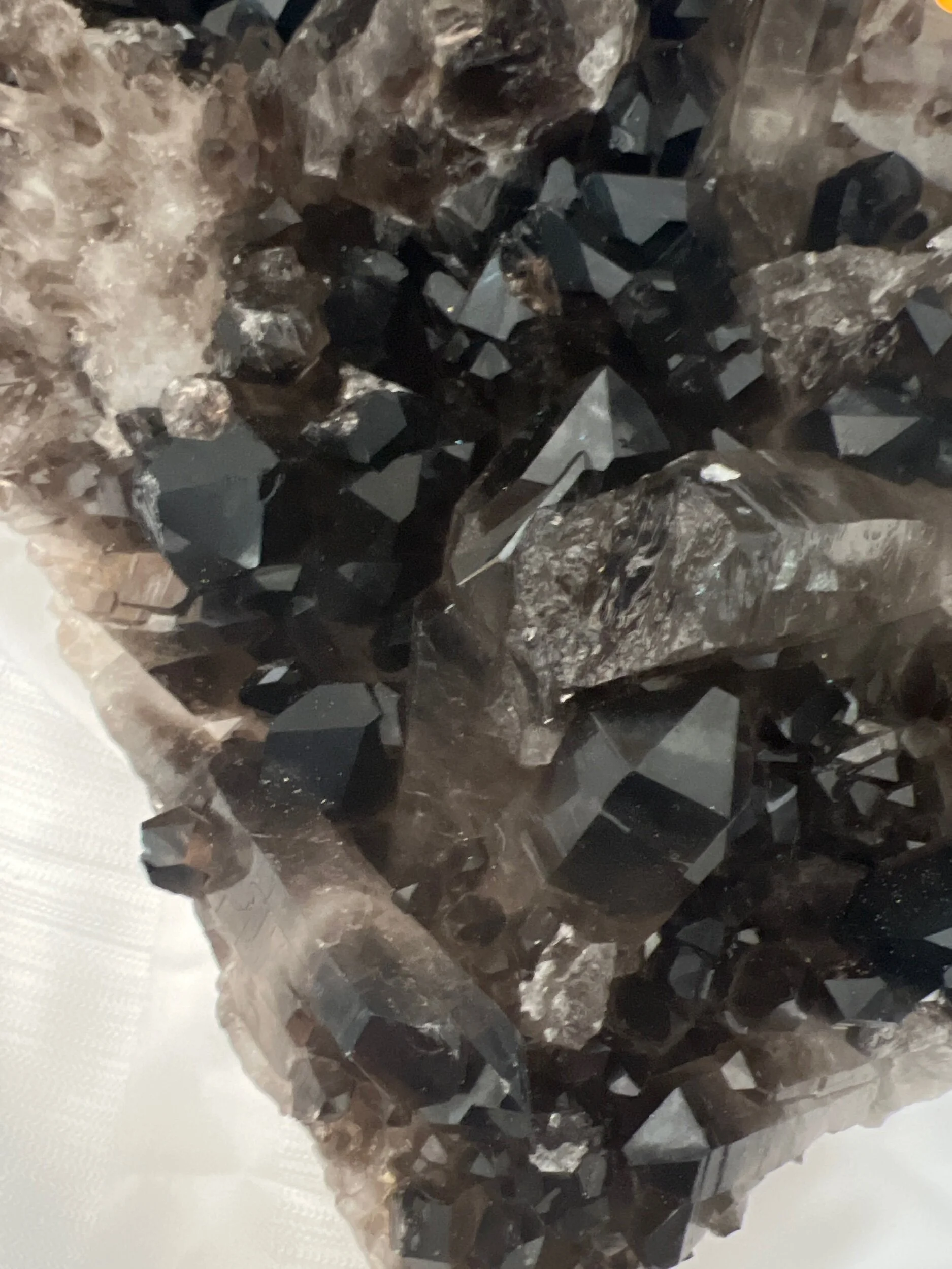 61B5754A-C02E-4E1E-A1C8-721E36C50593