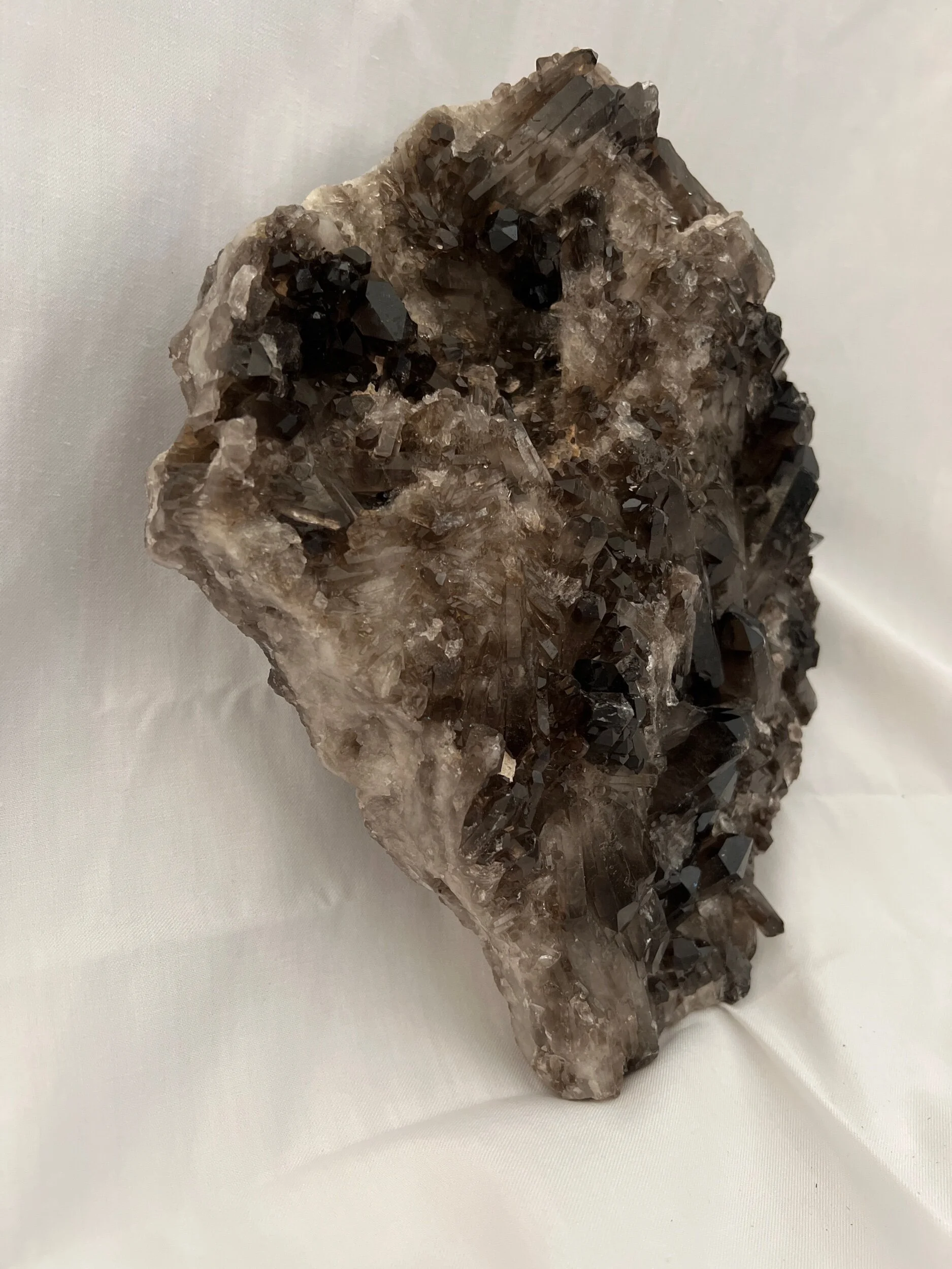 7783CE92-F7DD-43CE-9F6D-89F9780FAA45