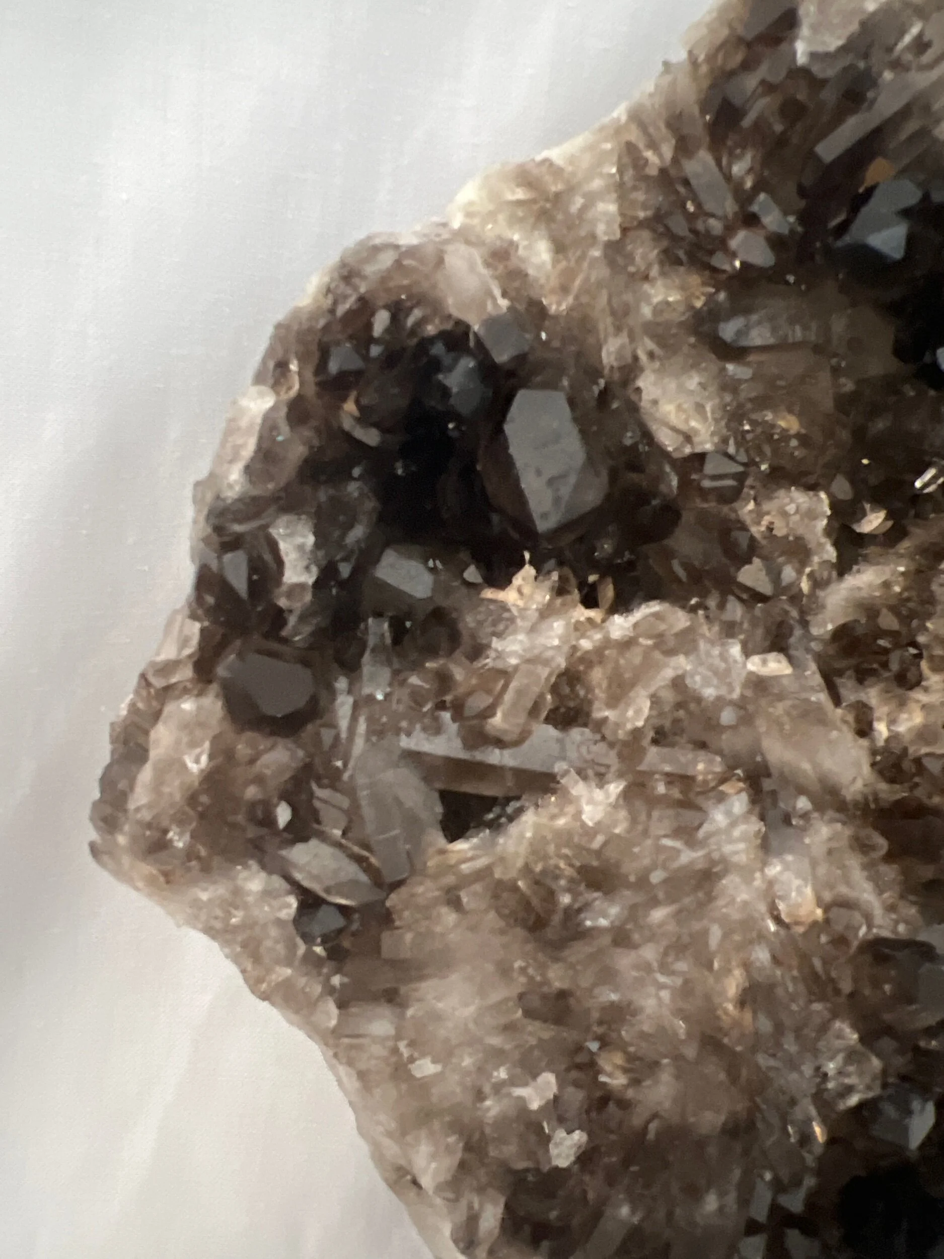 396AF50C-916F-4B48-9601-94463FEA0EEE