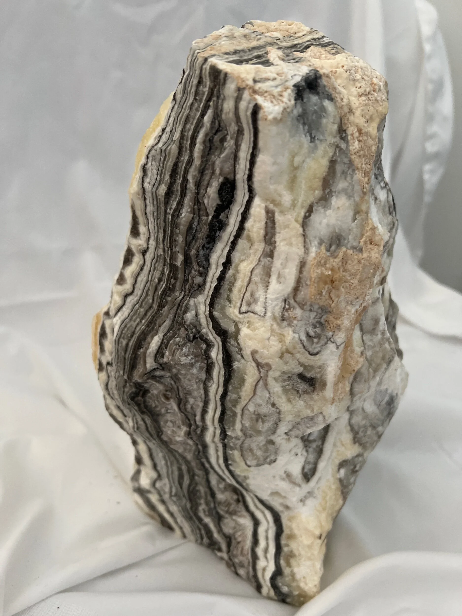 FFF8C48E-9543-47EB-84F7-95E267C0B581