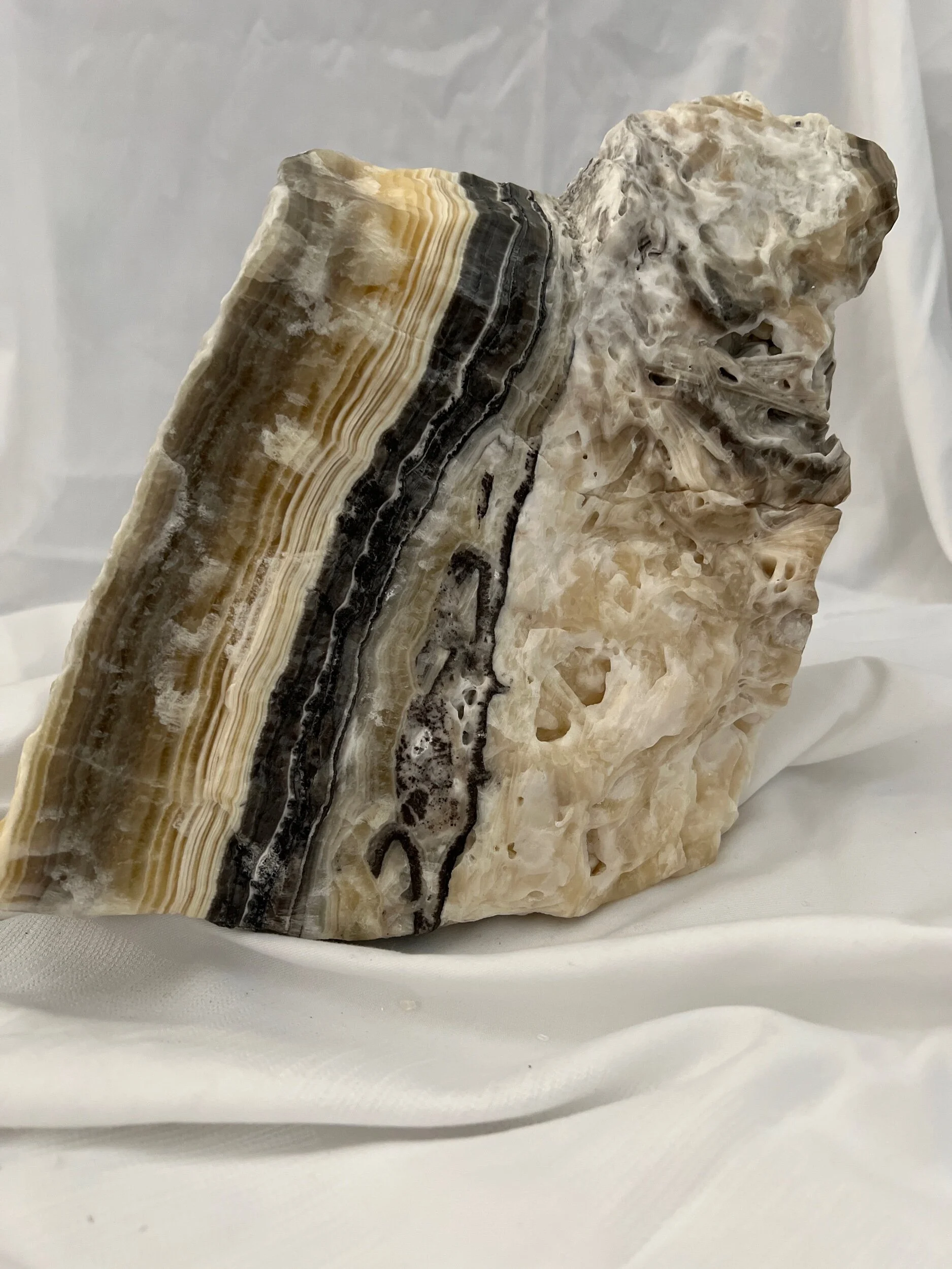 D8C0F826-1ECA-4746-8405-E55D47C58344