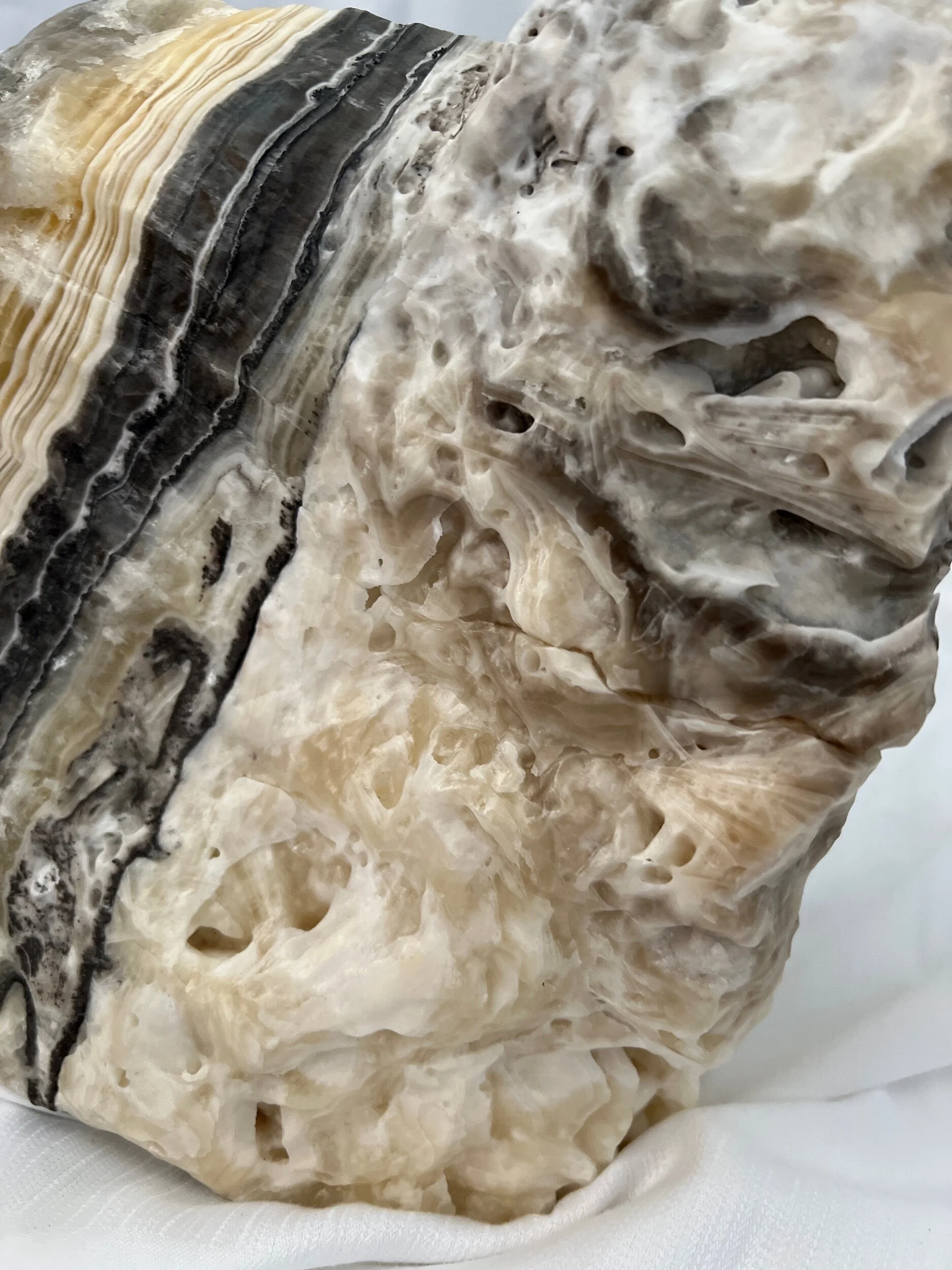 7F5EDAD4-B77A-4054-9972-08461AFEA156