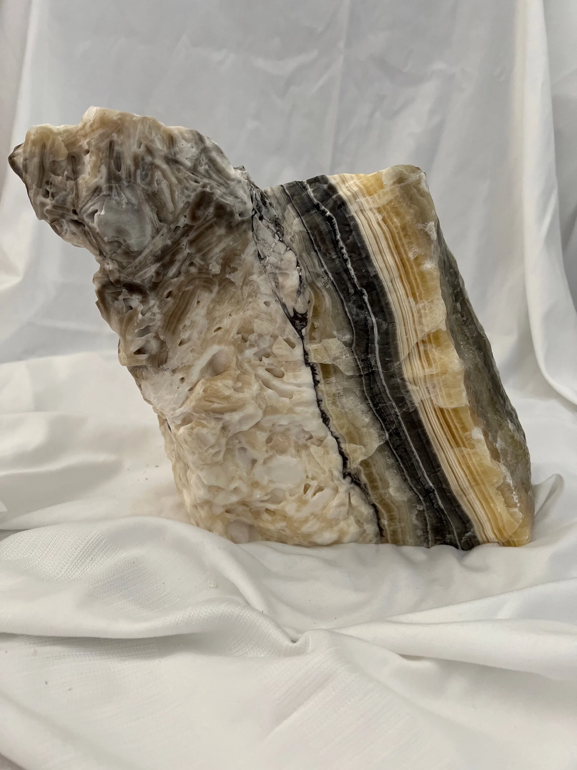 F5E8928D-D87C-4DD4-BA38-18CF6CCCF198