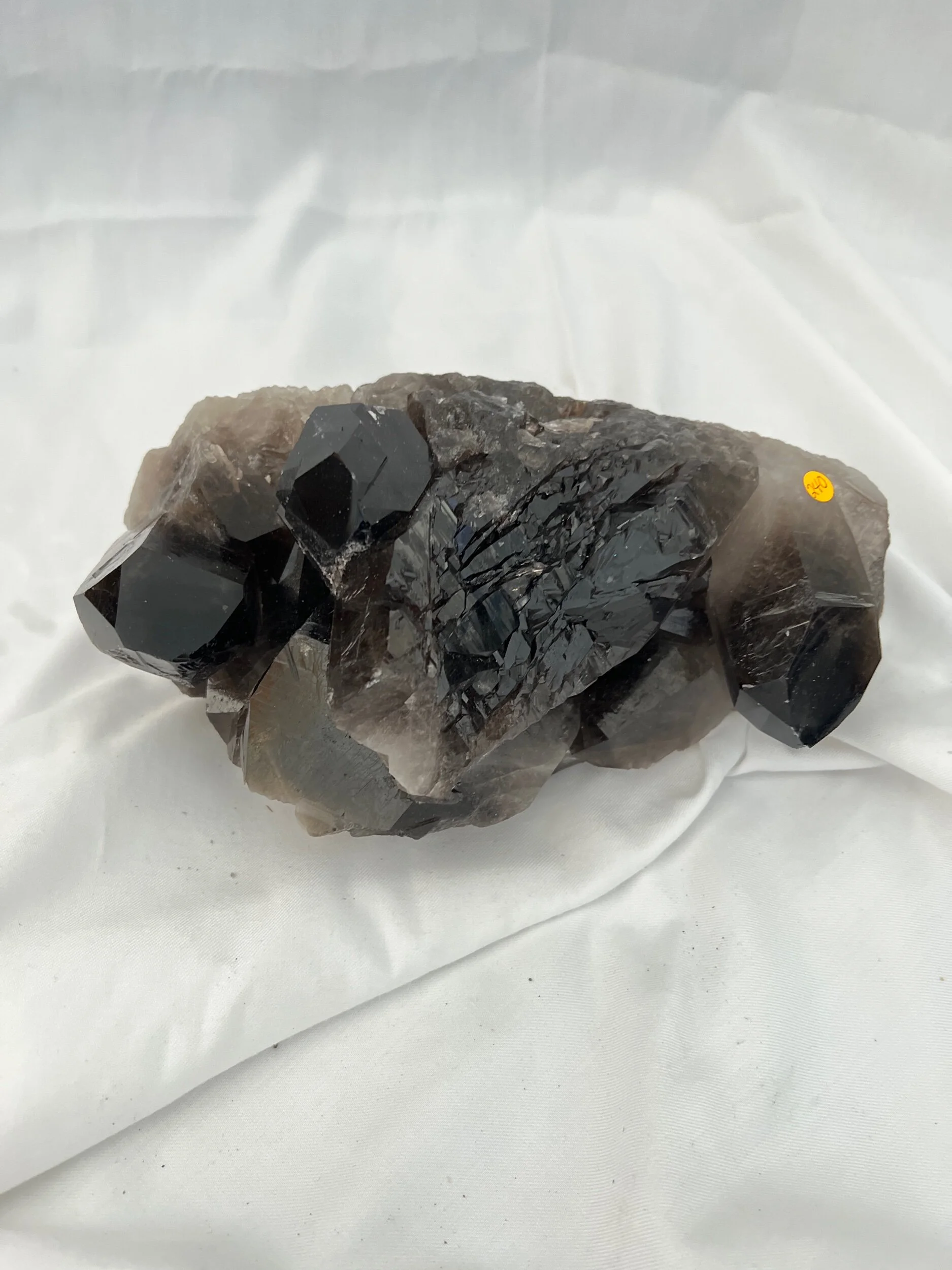 D15D2471-235C-441C-A3E9-73234199A156