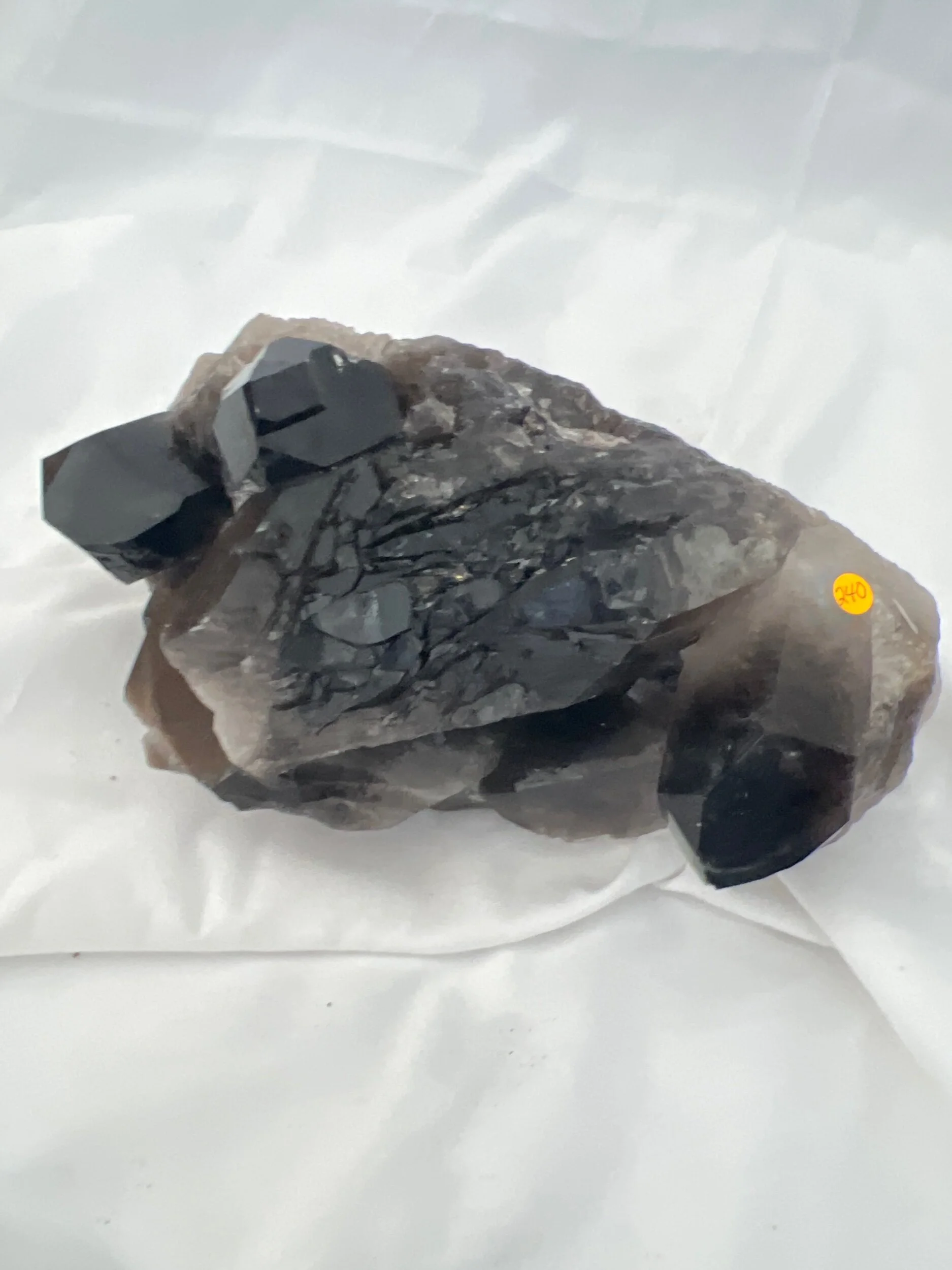 726C6CEC-521F-44DA-9623-A868C853EE49