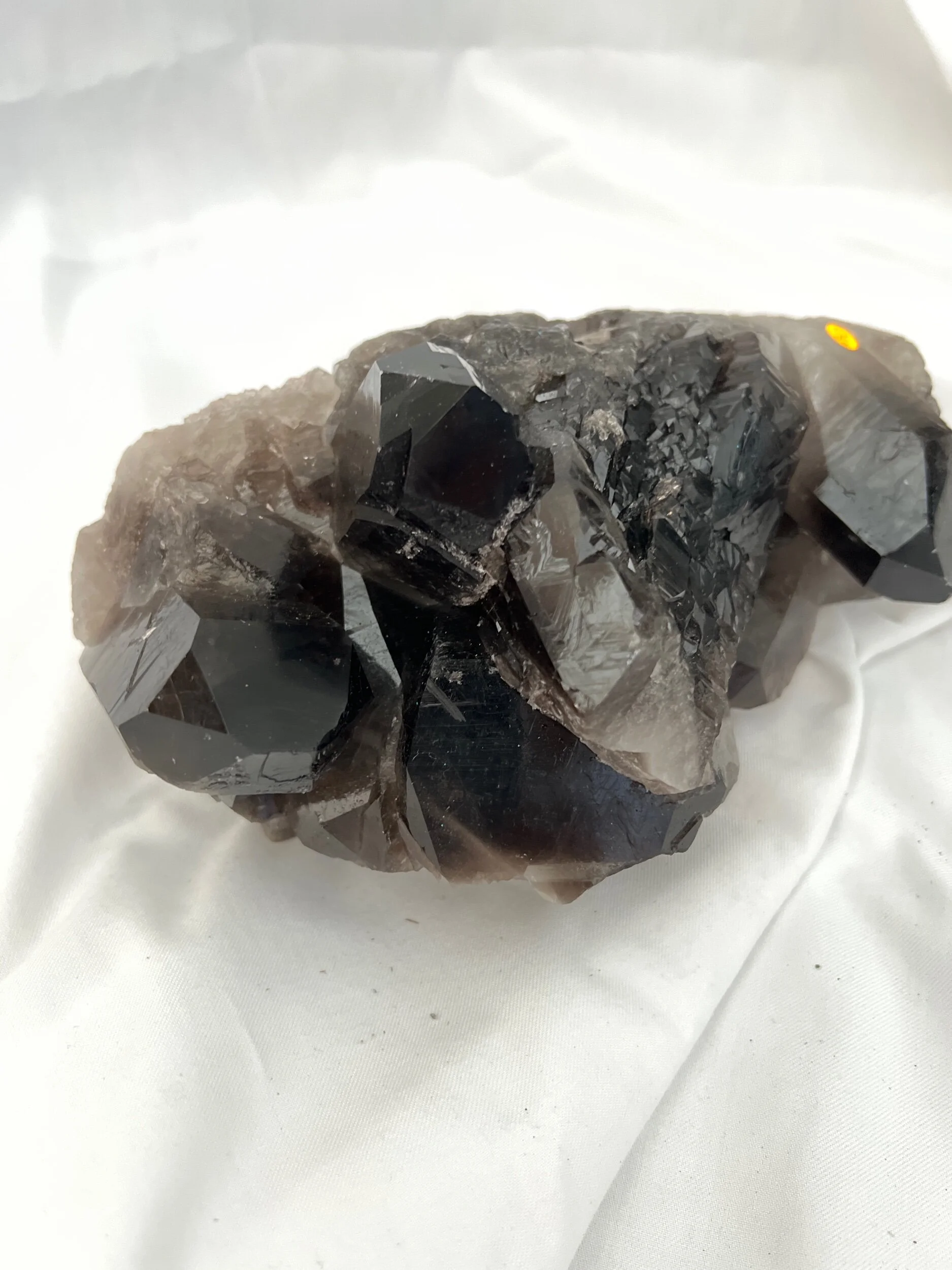 591EFA73-2C99-4CA4-8F2E-74FF89189730