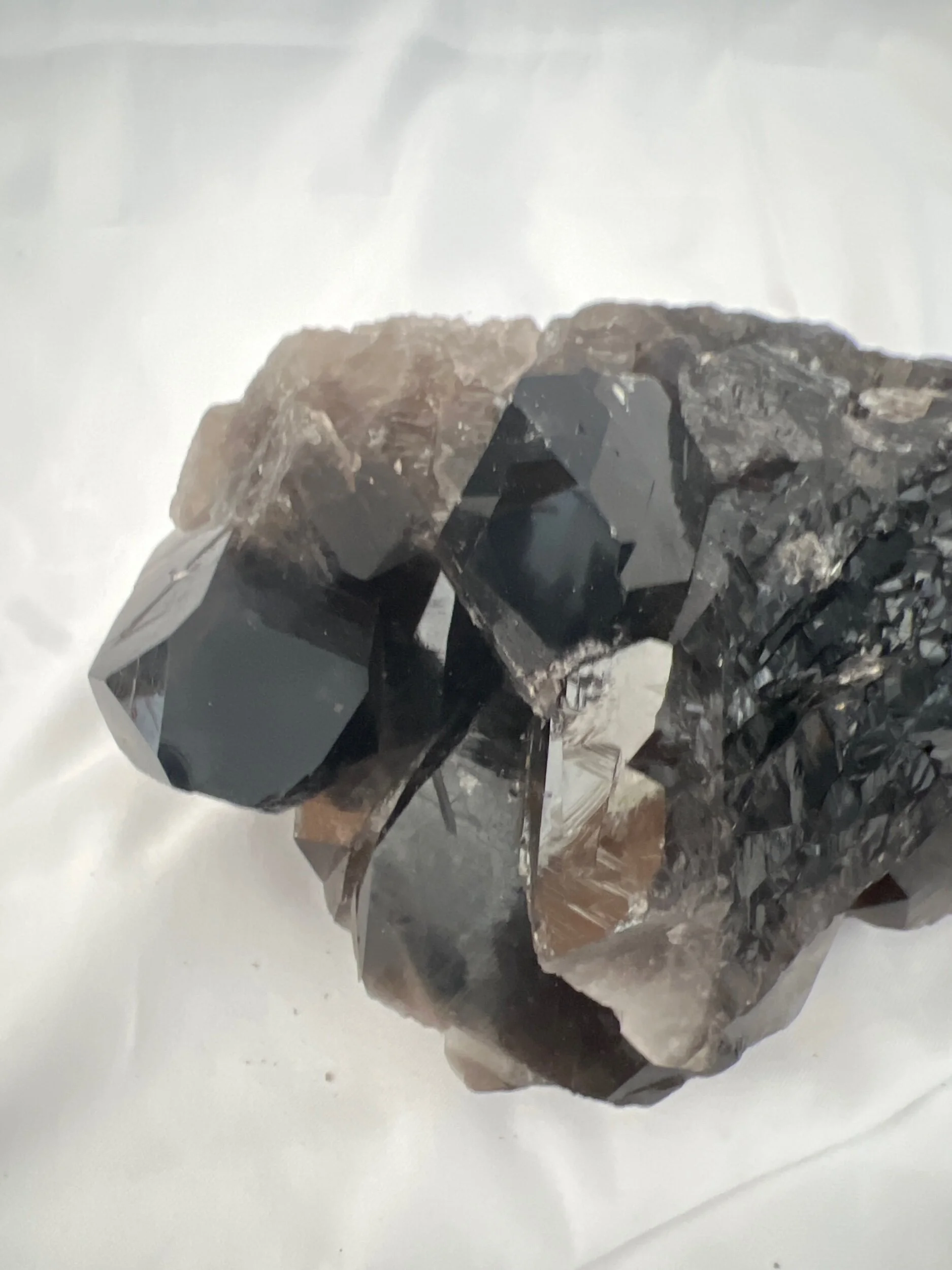 F2243851-29B9-4DA2-9056-37B7F4C9C05A