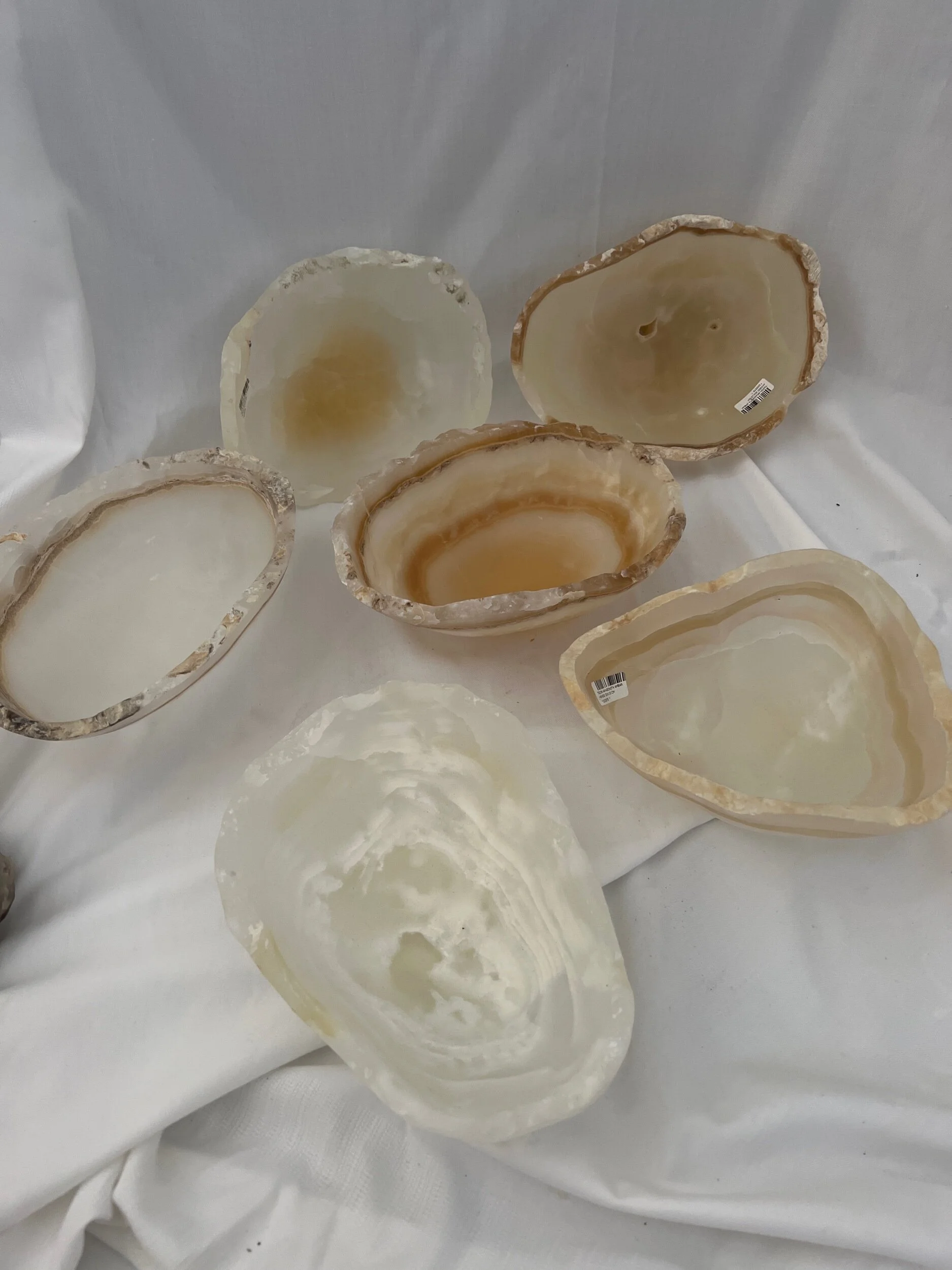 A8F91846-23BC-4A6E-9CA5-1ED93AA26EEA