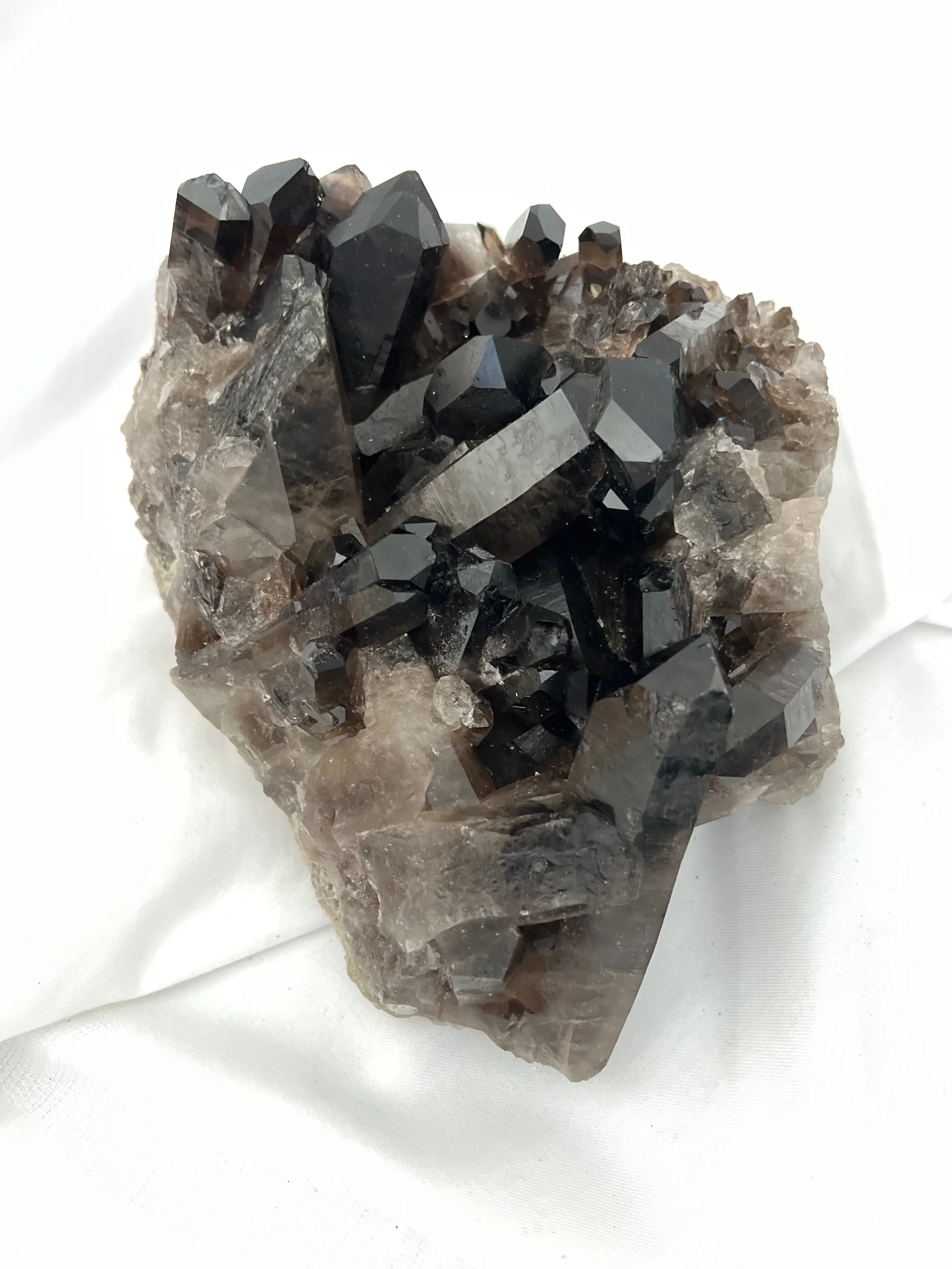 22FE6B51-3AF5-425B-8222-6CF664FB9994