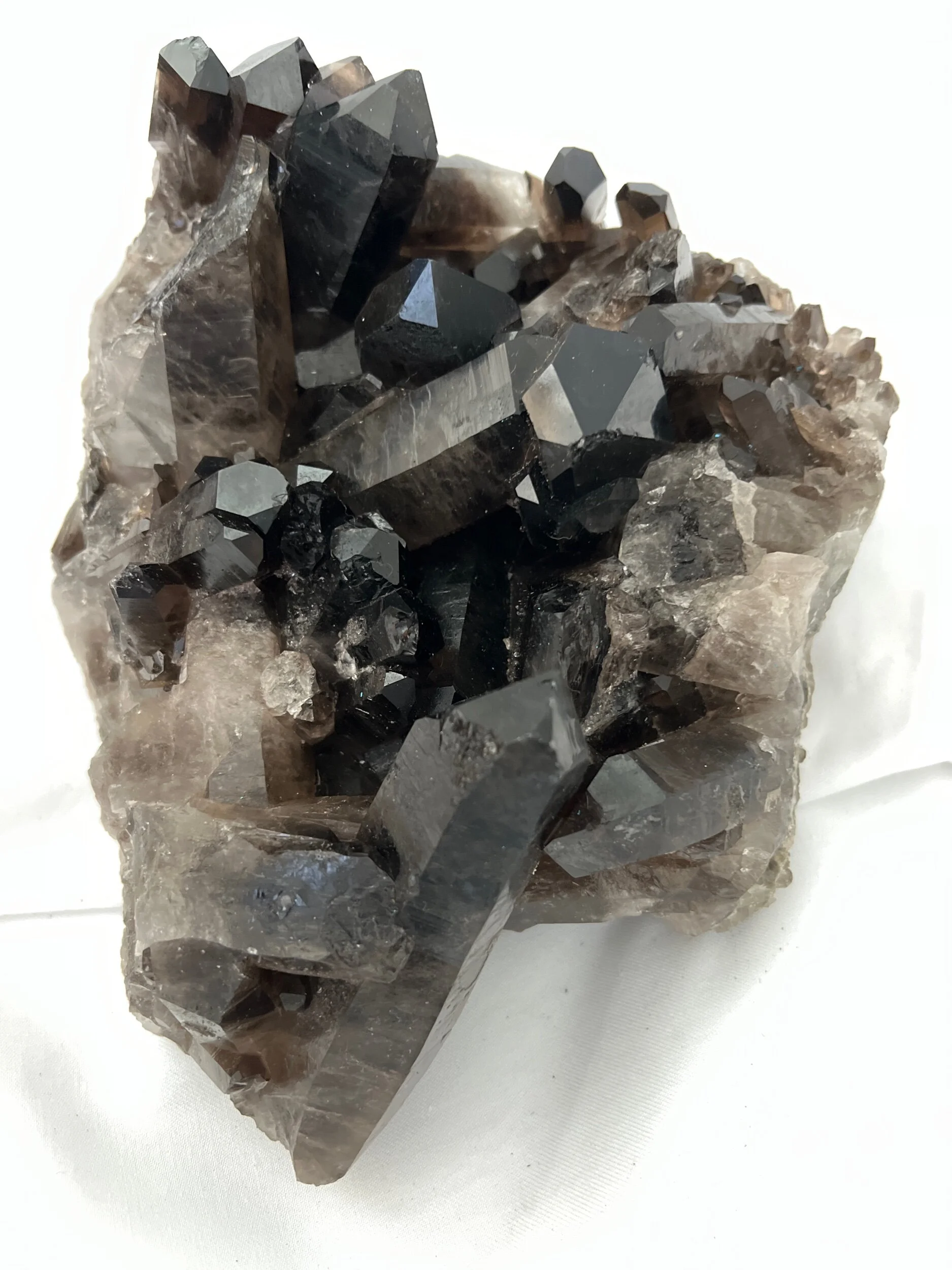 F8154D17-8C7D-4577-89AF-560F55319C71