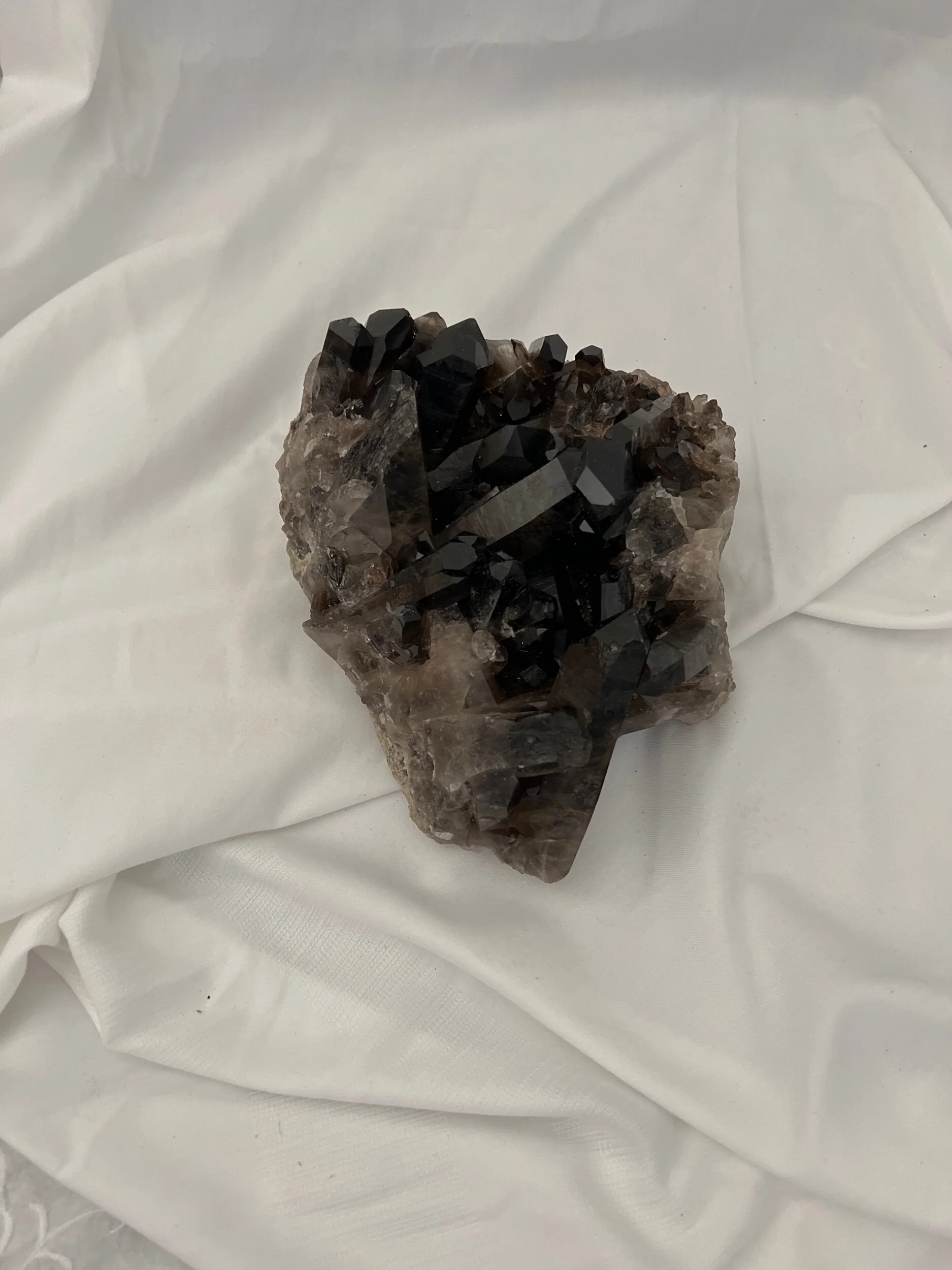 A8BE8E53-5A4B-4F4E-8D4E-24A7394E13B8