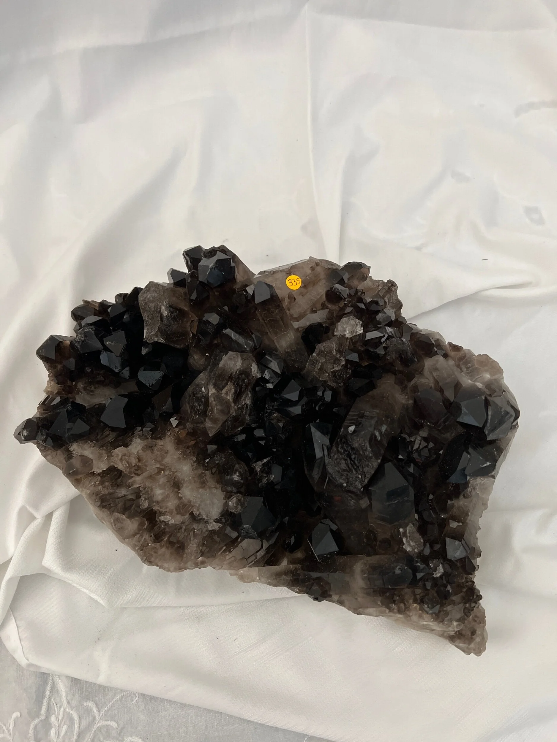 FDE02EE4-514C-4028-9221-BE6AFFE21609