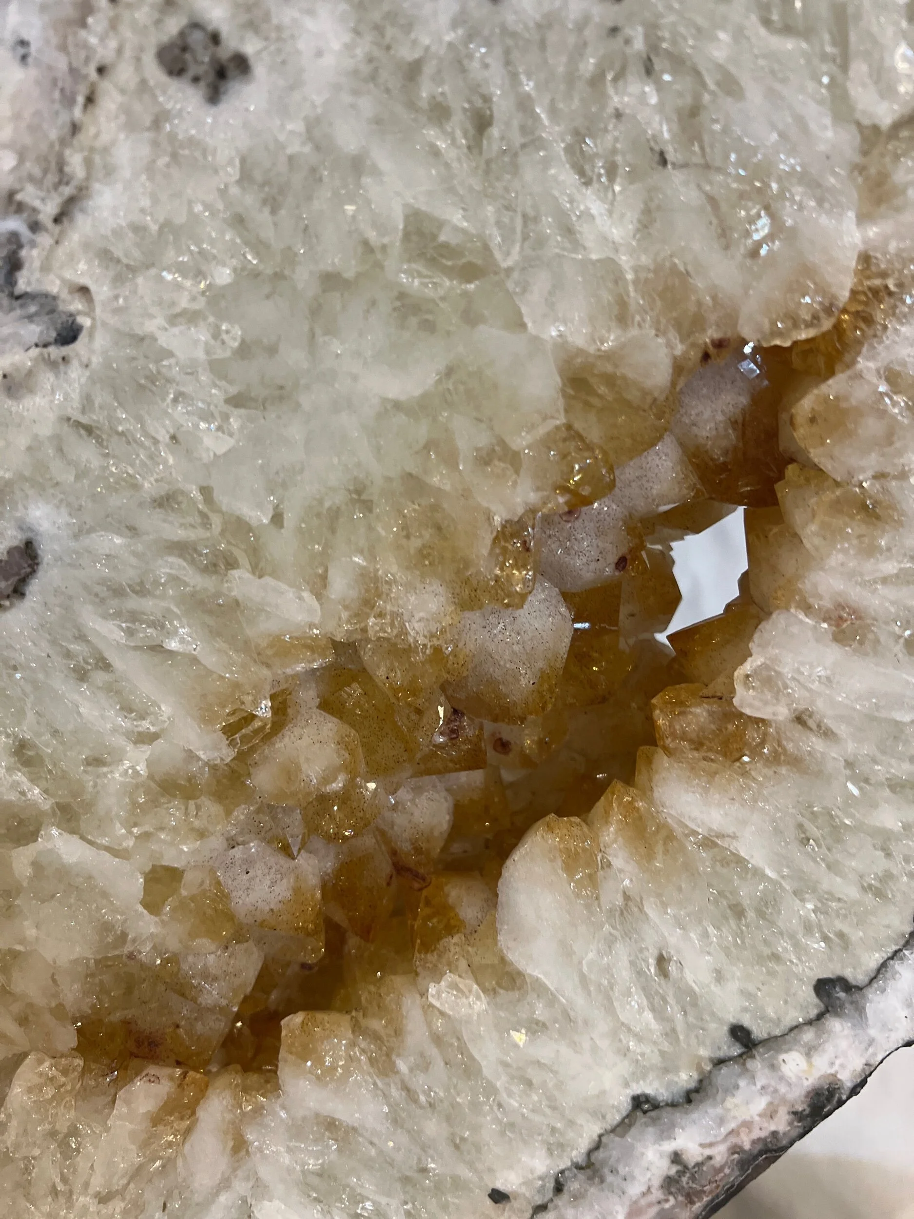 425DA921-7DFE-4D8E-942F-C5D3AB559D35