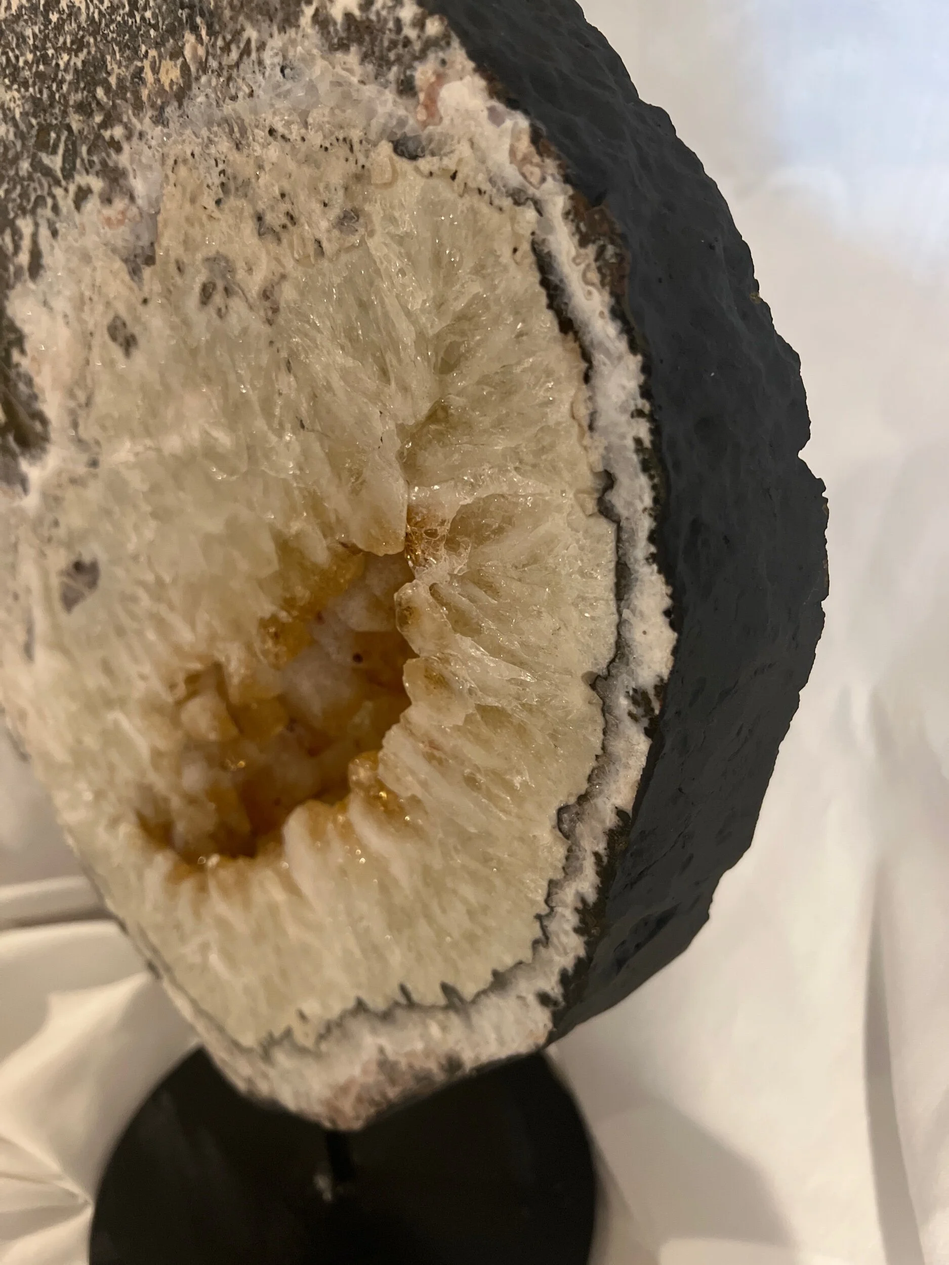 EE6165B9-4B34-48F6-B9DA-F187D1C6B38D