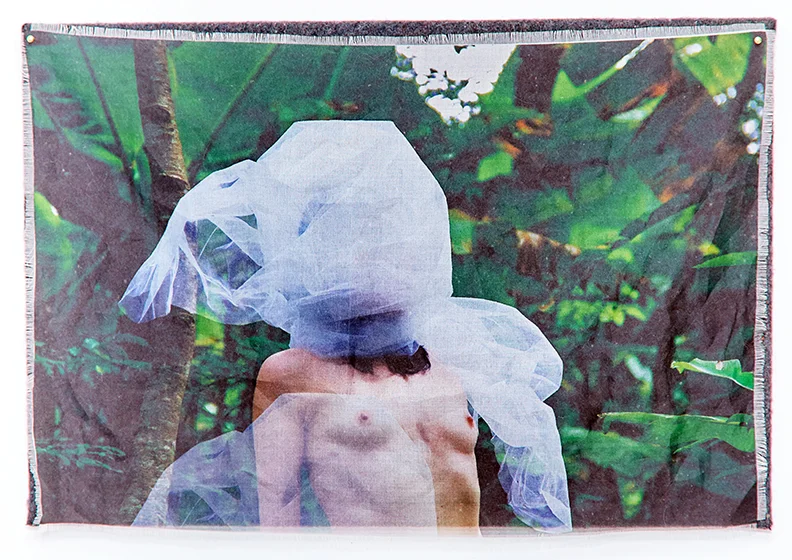 Viaticum IX , 2015-2016 | Pigment on silk organza and stretched felt | 17" x 25" | Edition of 3