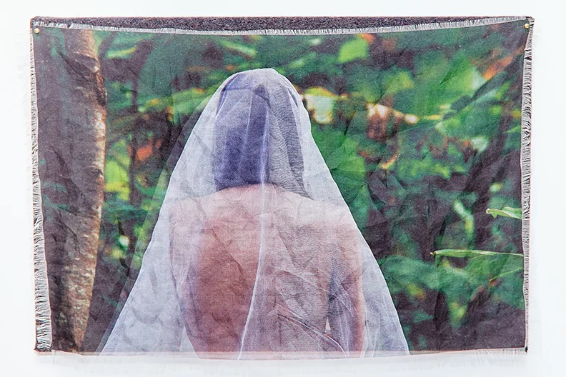 Viaticum X , 2015-2016 | Pigment on silk organza and stretched felt | 17" x 25" | Edition of 3